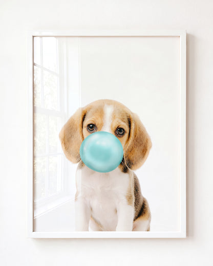 Baby Beagle Puppy
