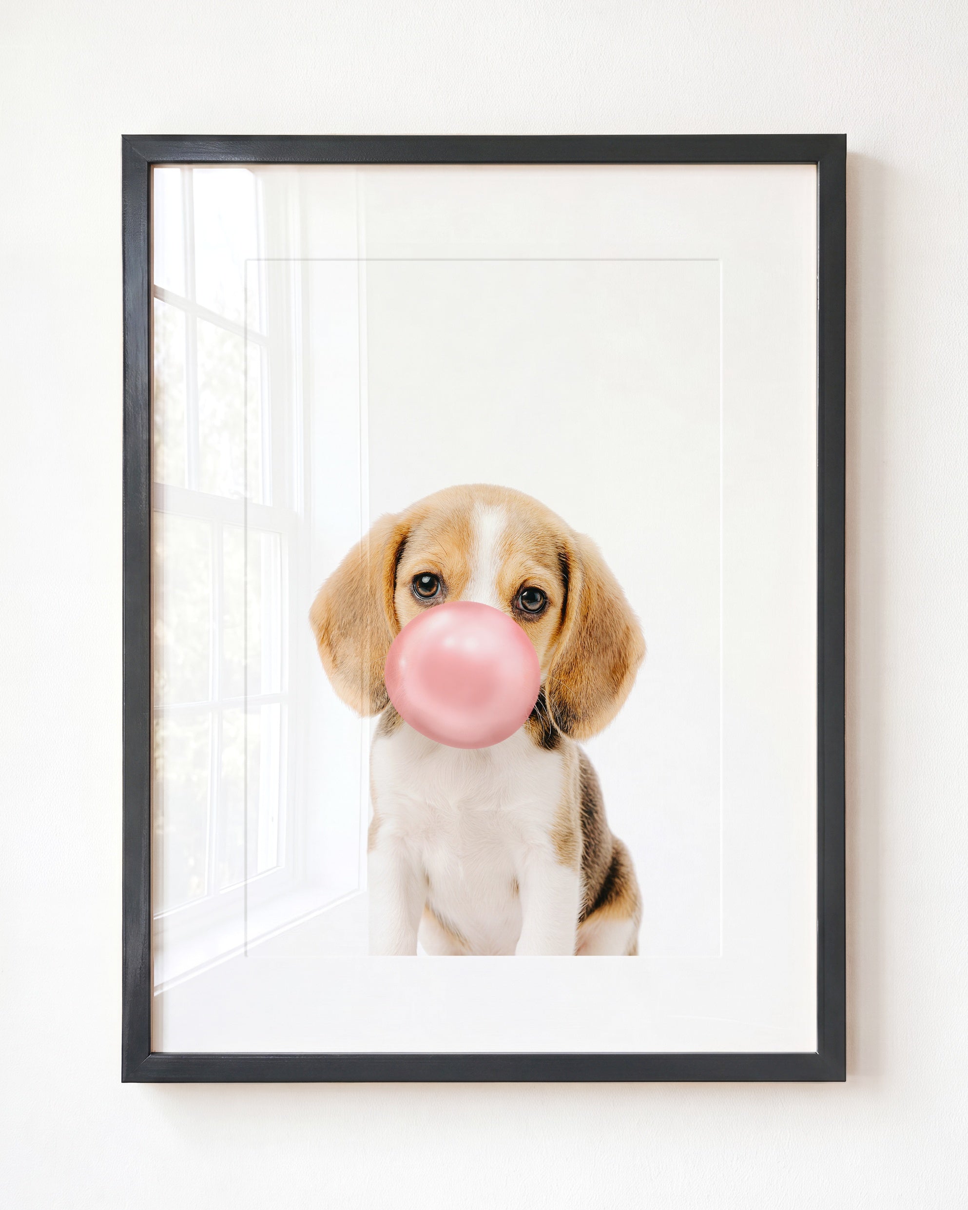 Baby Beagle Puppy