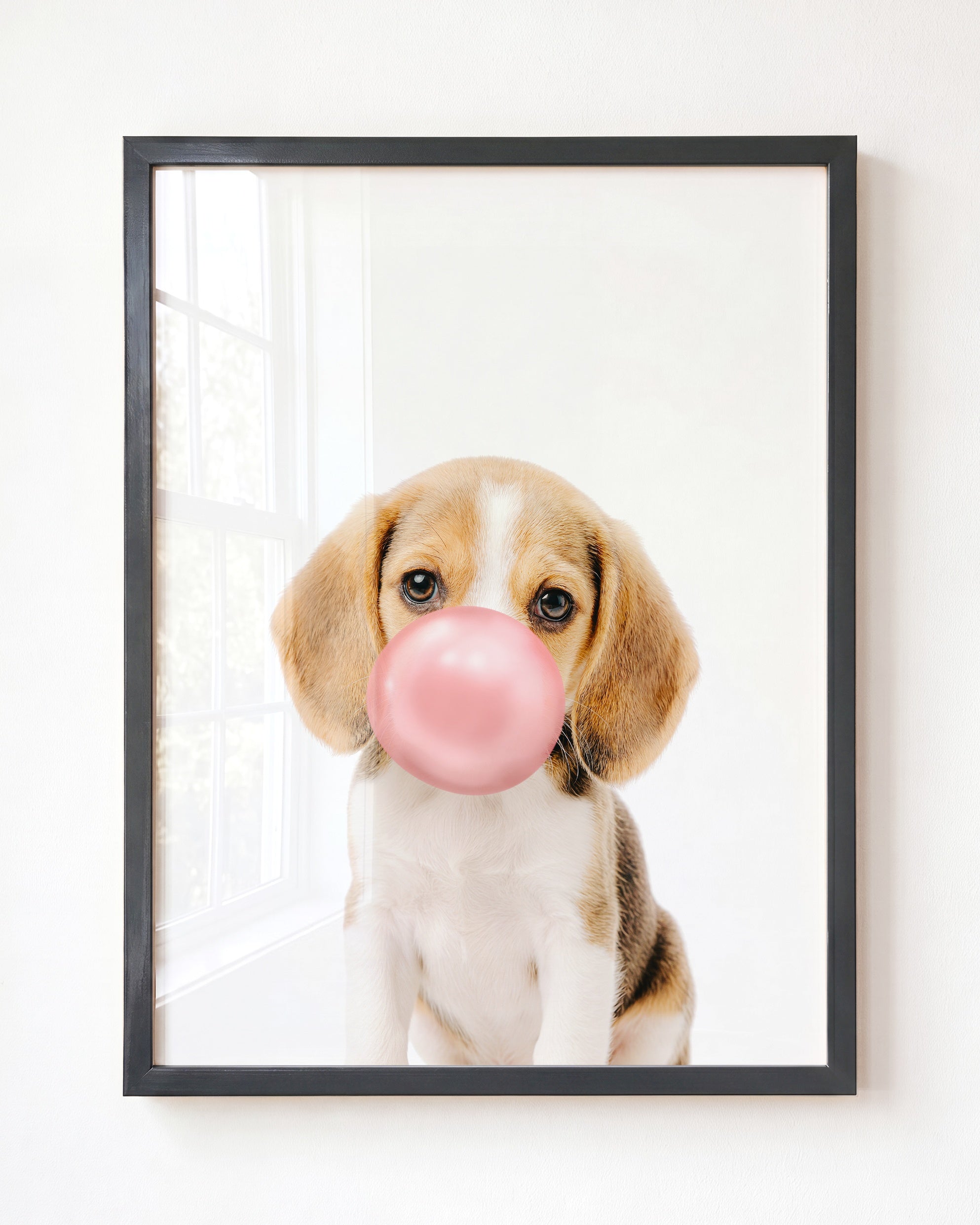Baby Beagle Puppy
