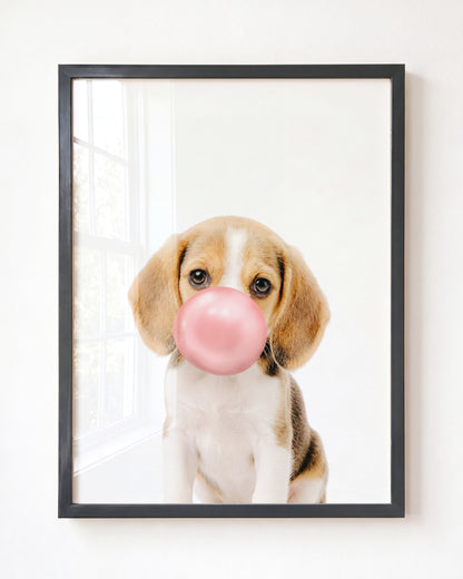 Baby Beagle Puppy