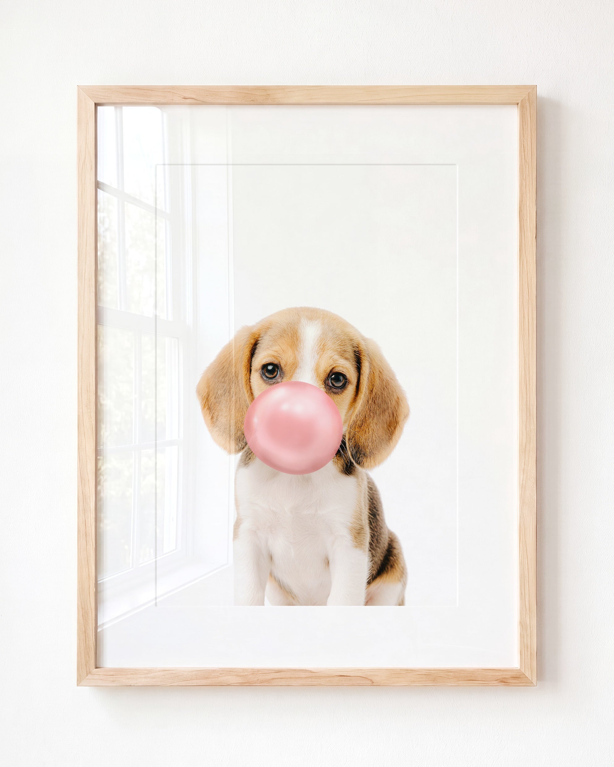 Baby Beagle Puppy