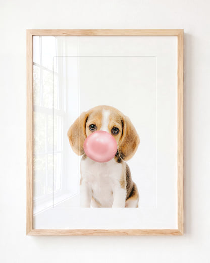 Baby Beagle Puppy