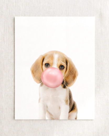 Baby Beagle Puppy