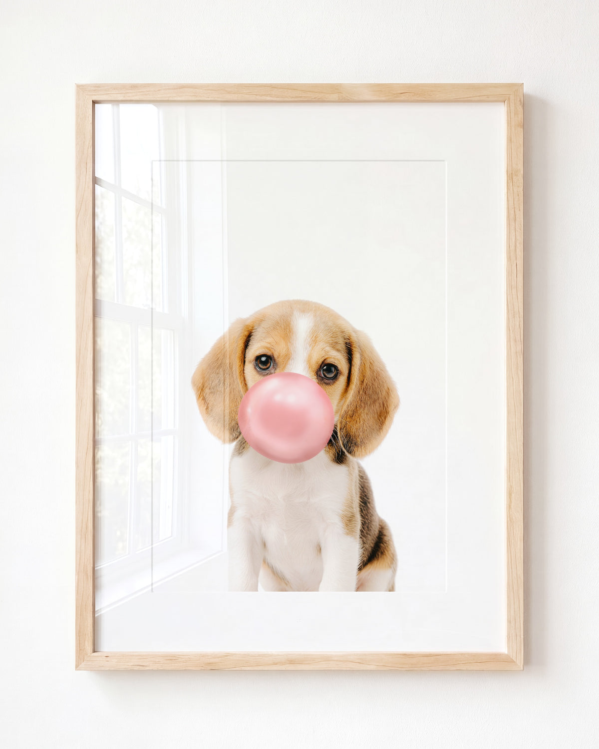 Baby Beagle Puppy