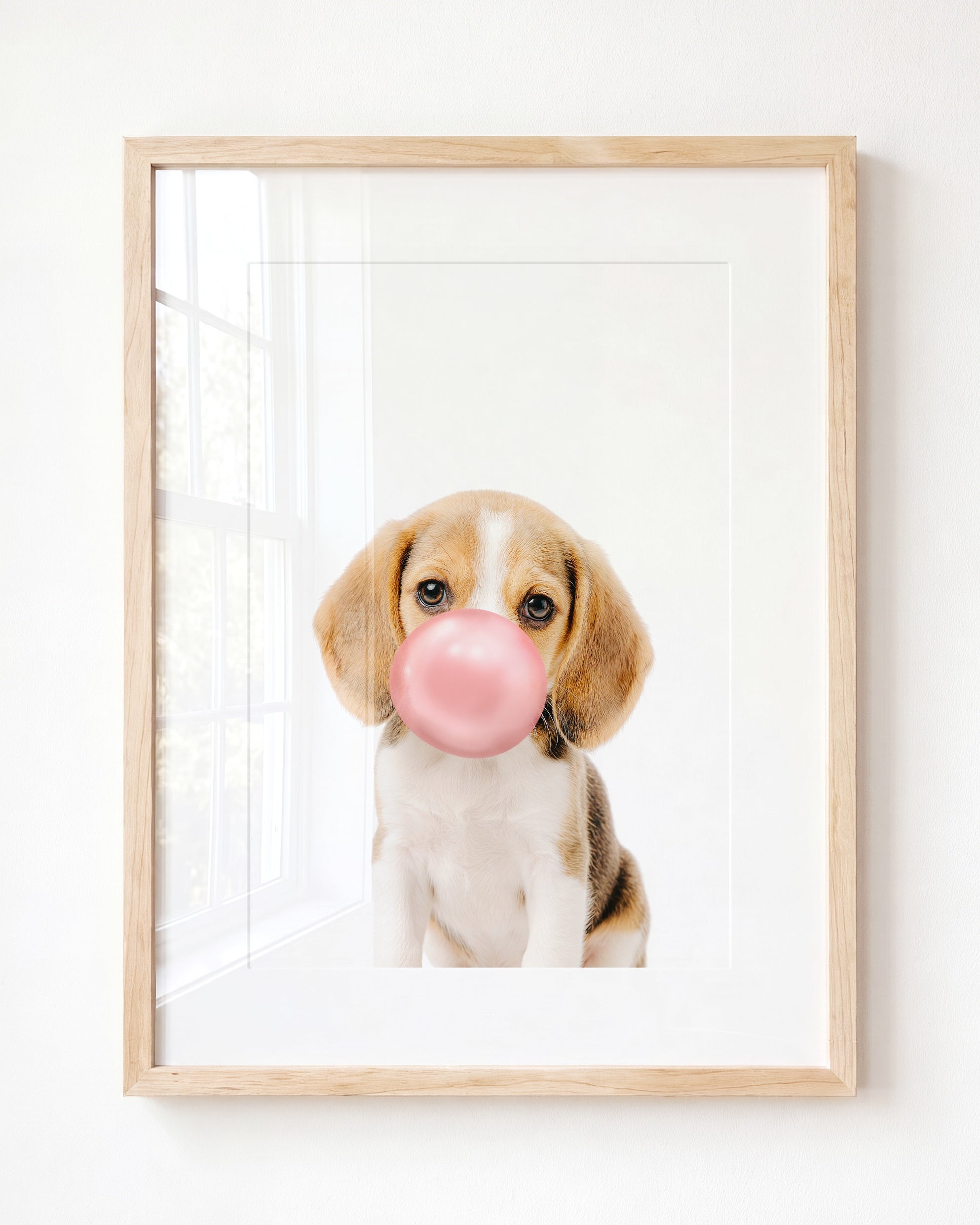 Baby Beagle Puppy
