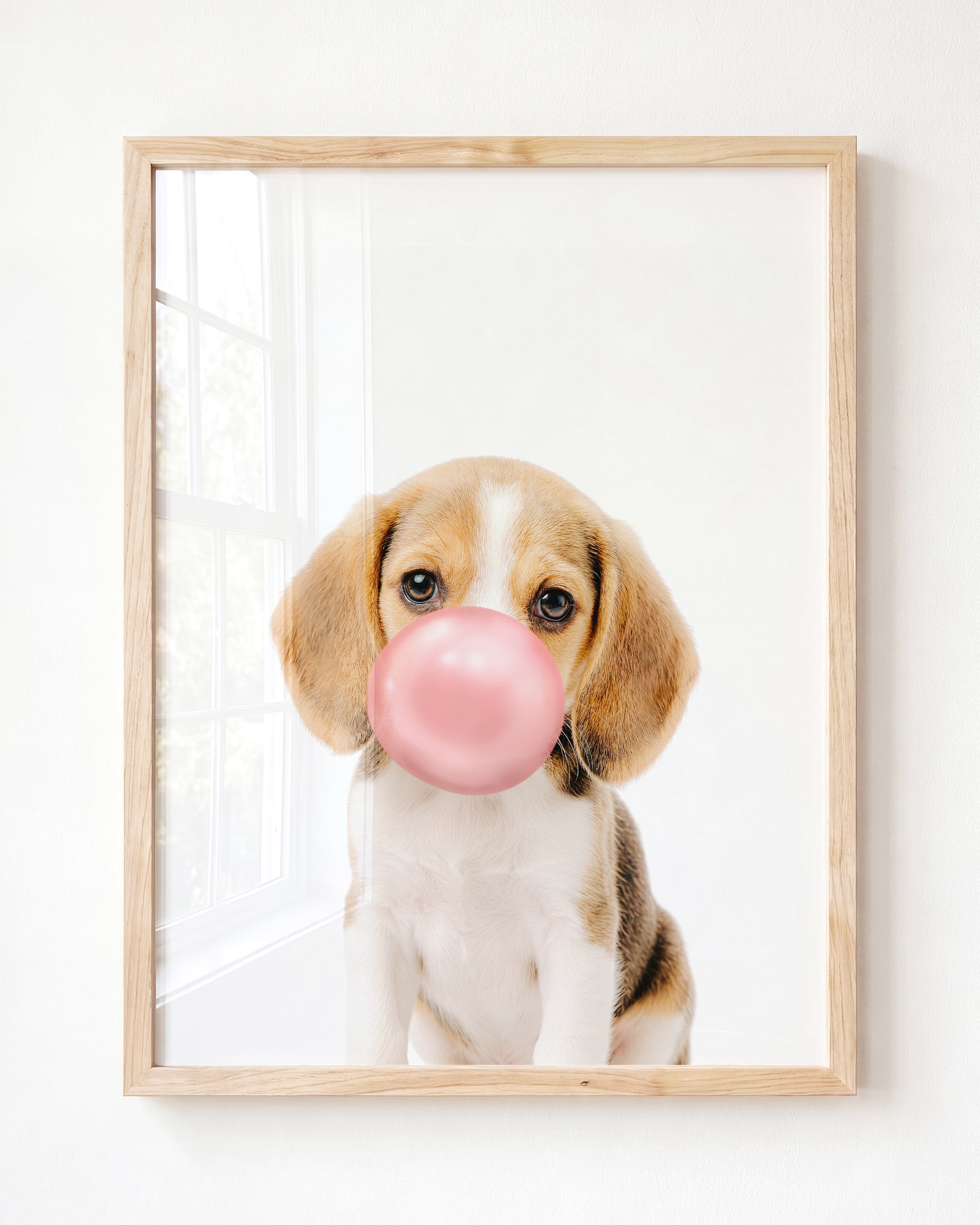 Baby Beagle Puppy