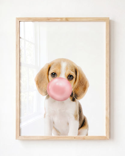 Baby Beagle Puppy