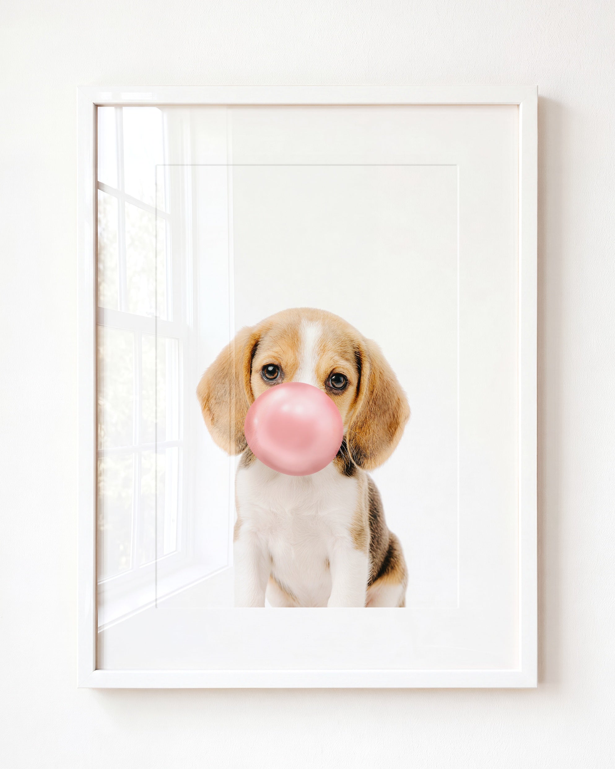 Baby Beagle Puppy
