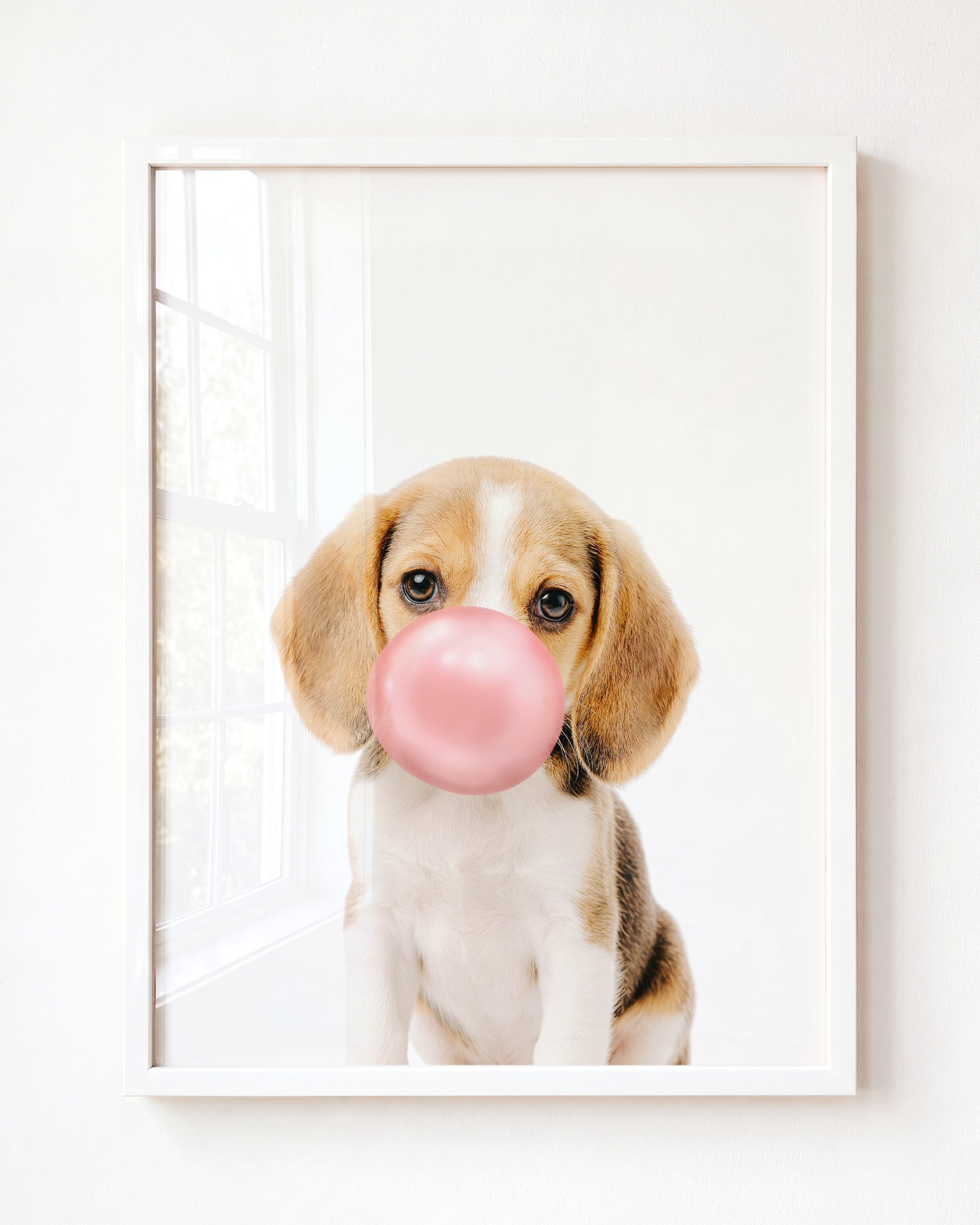 Baby Beagle Puppy