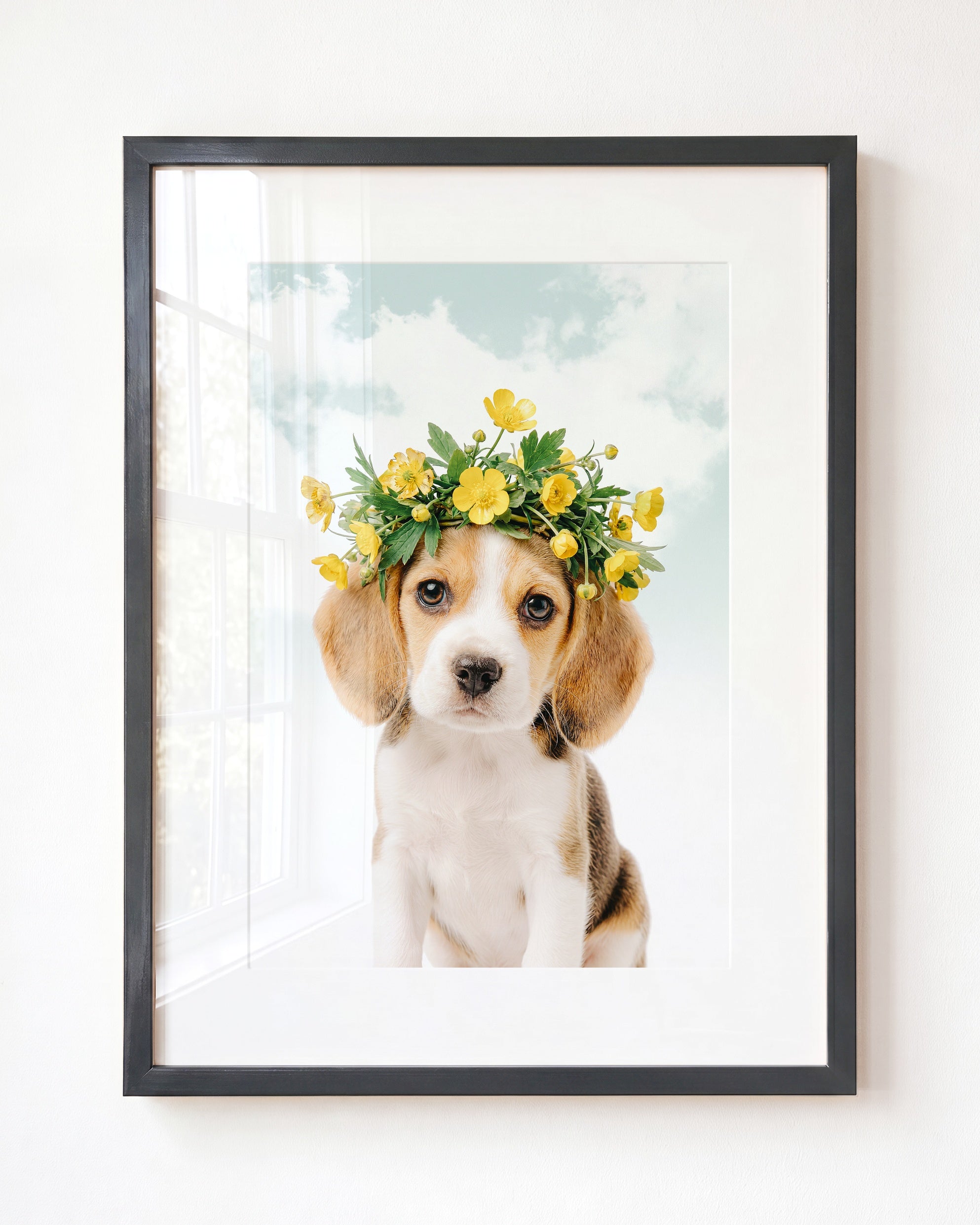Baby Beagle Puppy