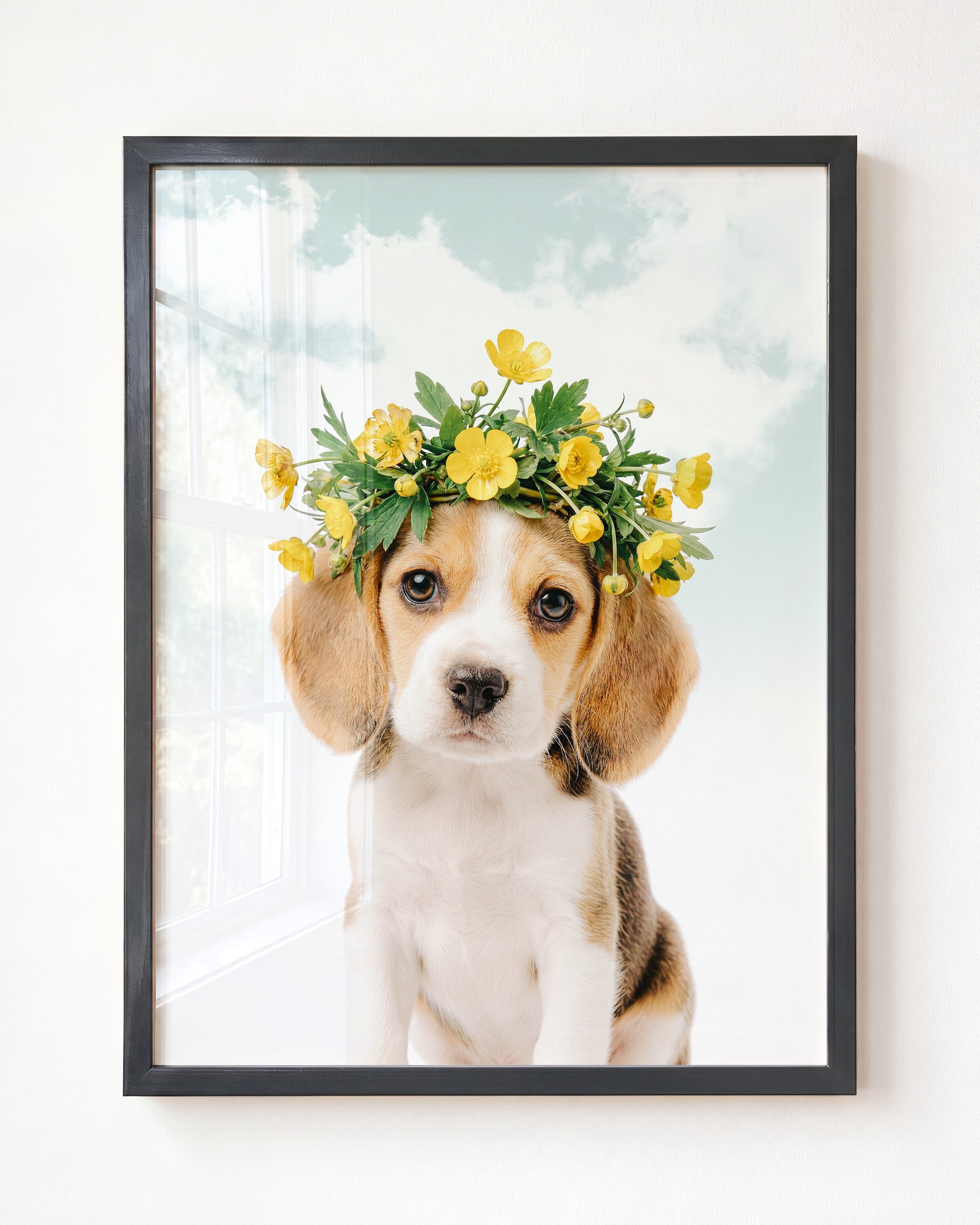 Baby Beagle Puppy