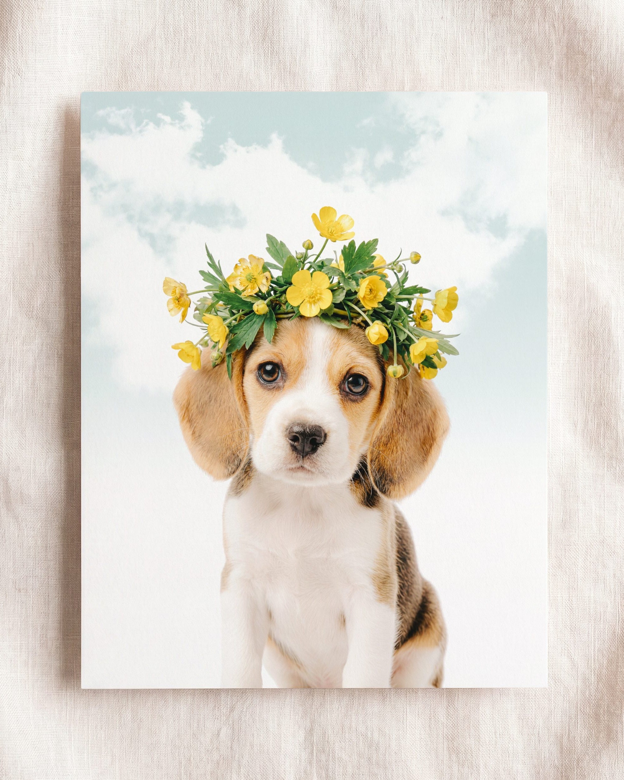 Baby Beagle Puppy