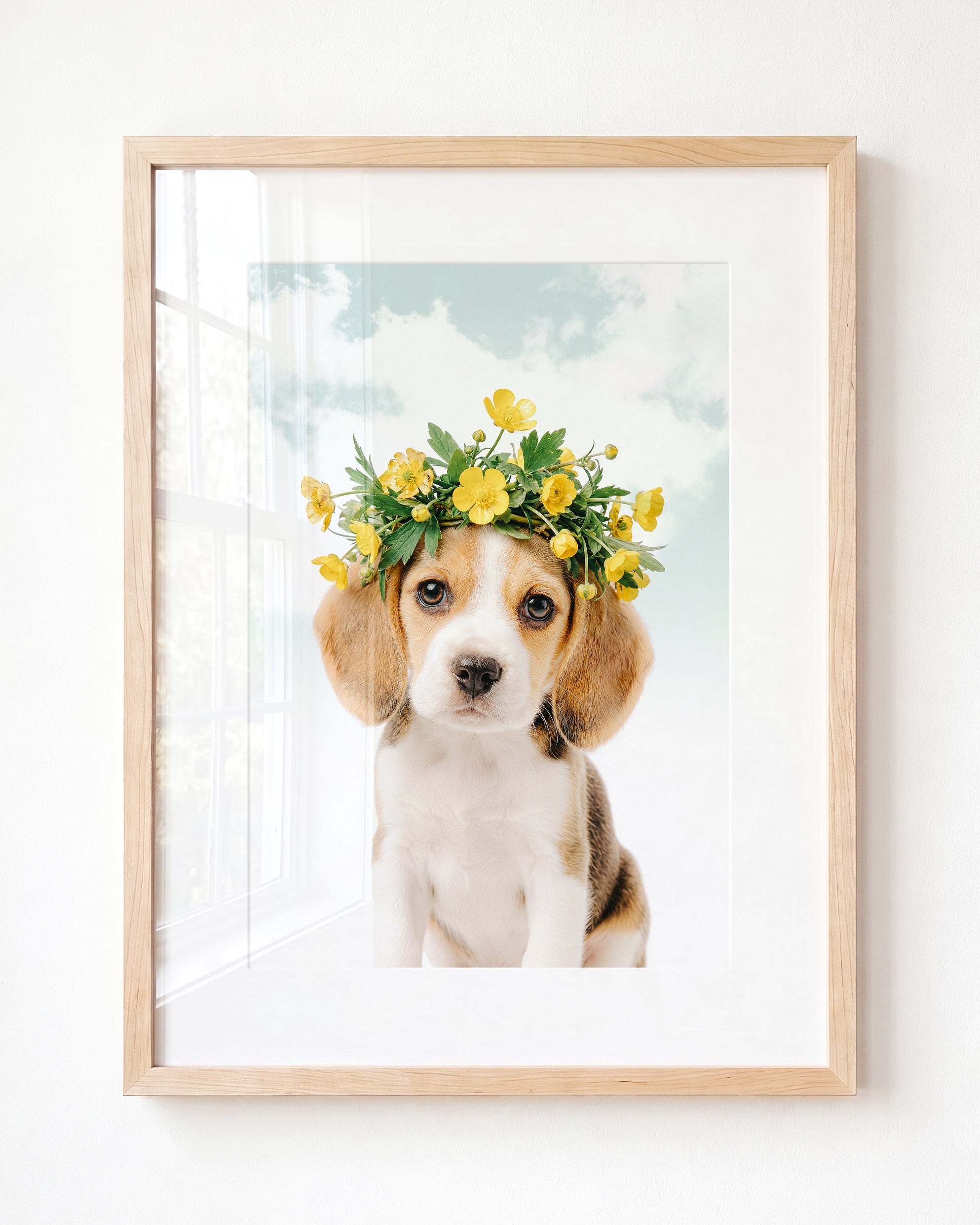 Baby Beagle Puppy