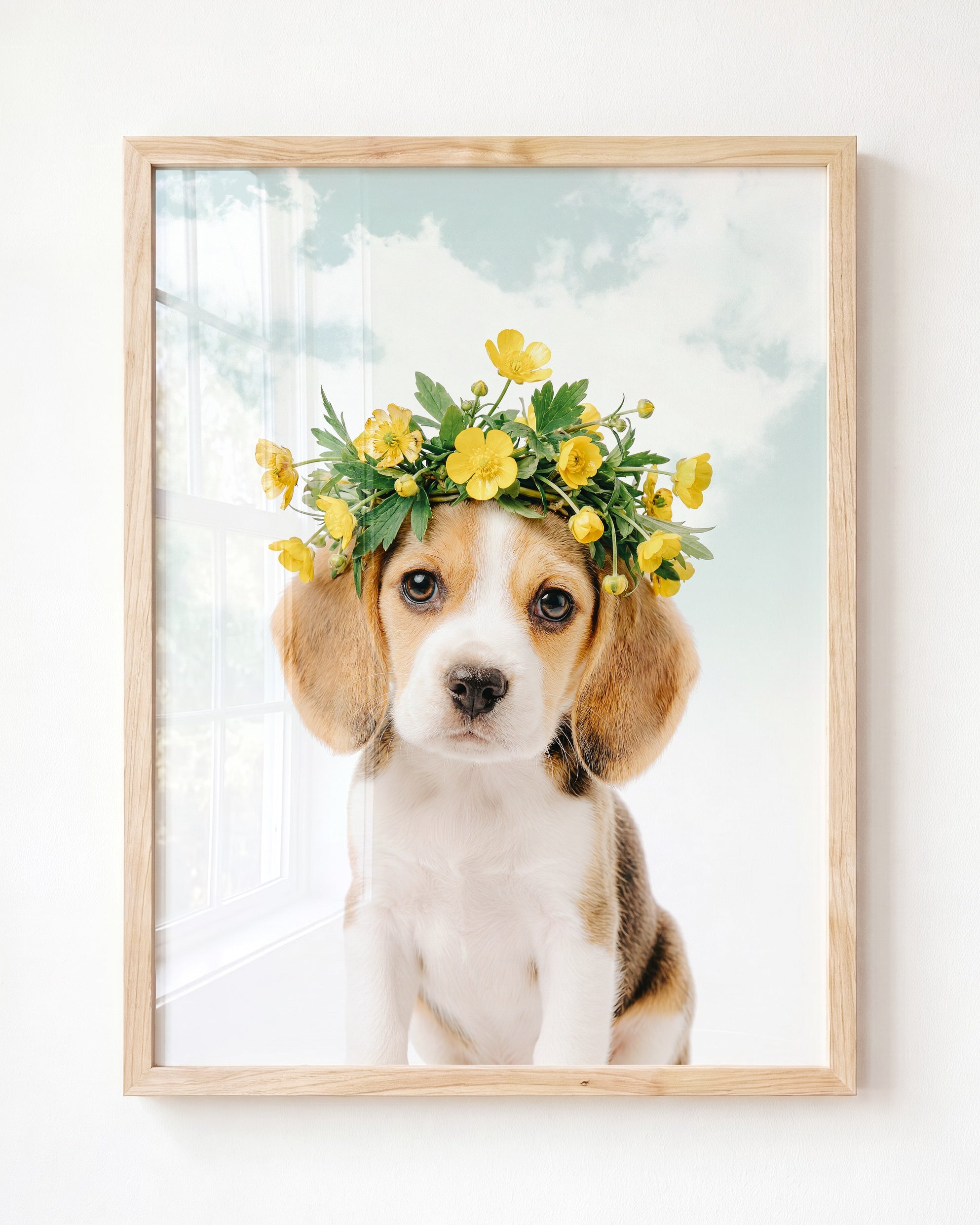 Baby Beagle Puppy