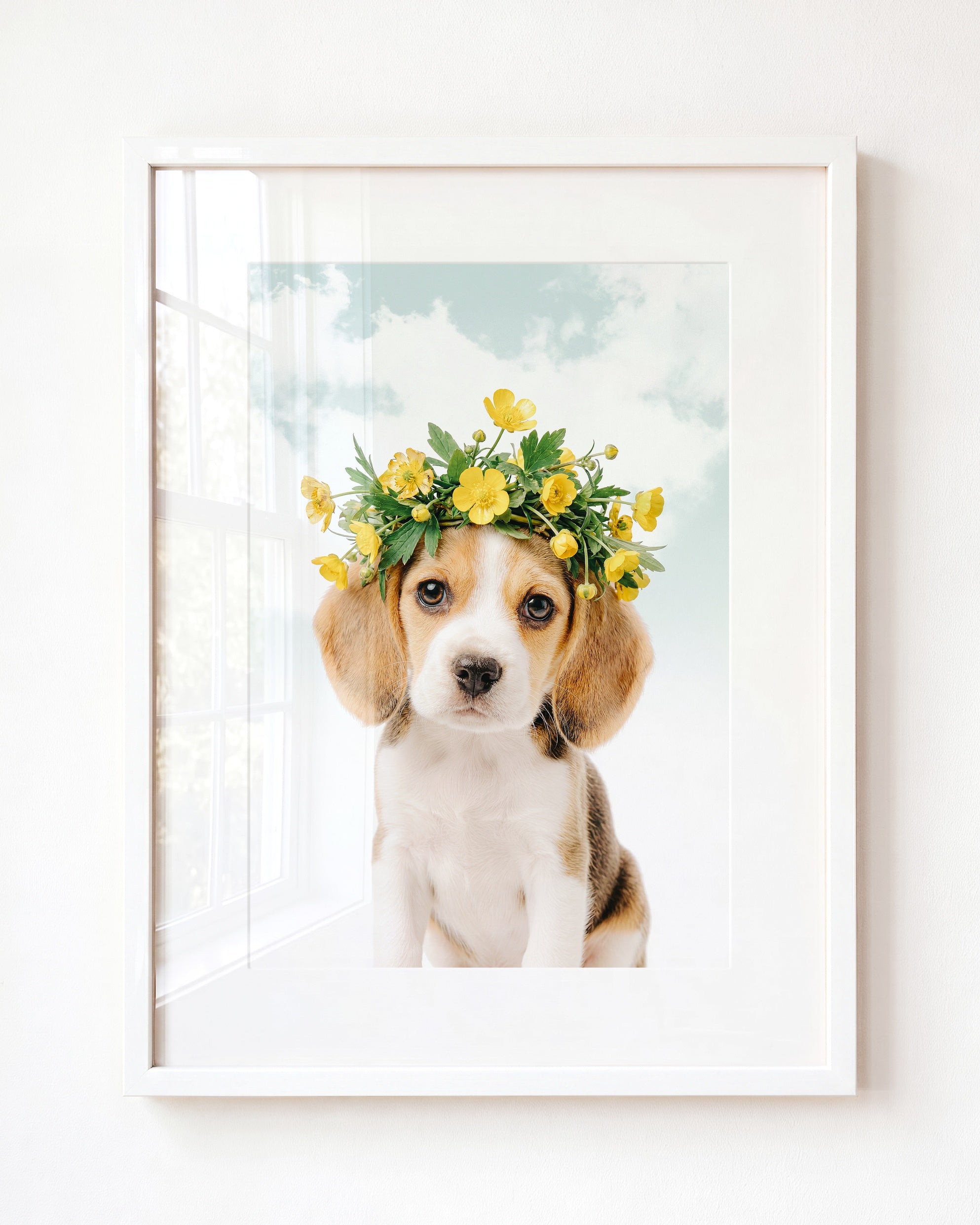 Baby Beagle Puppy