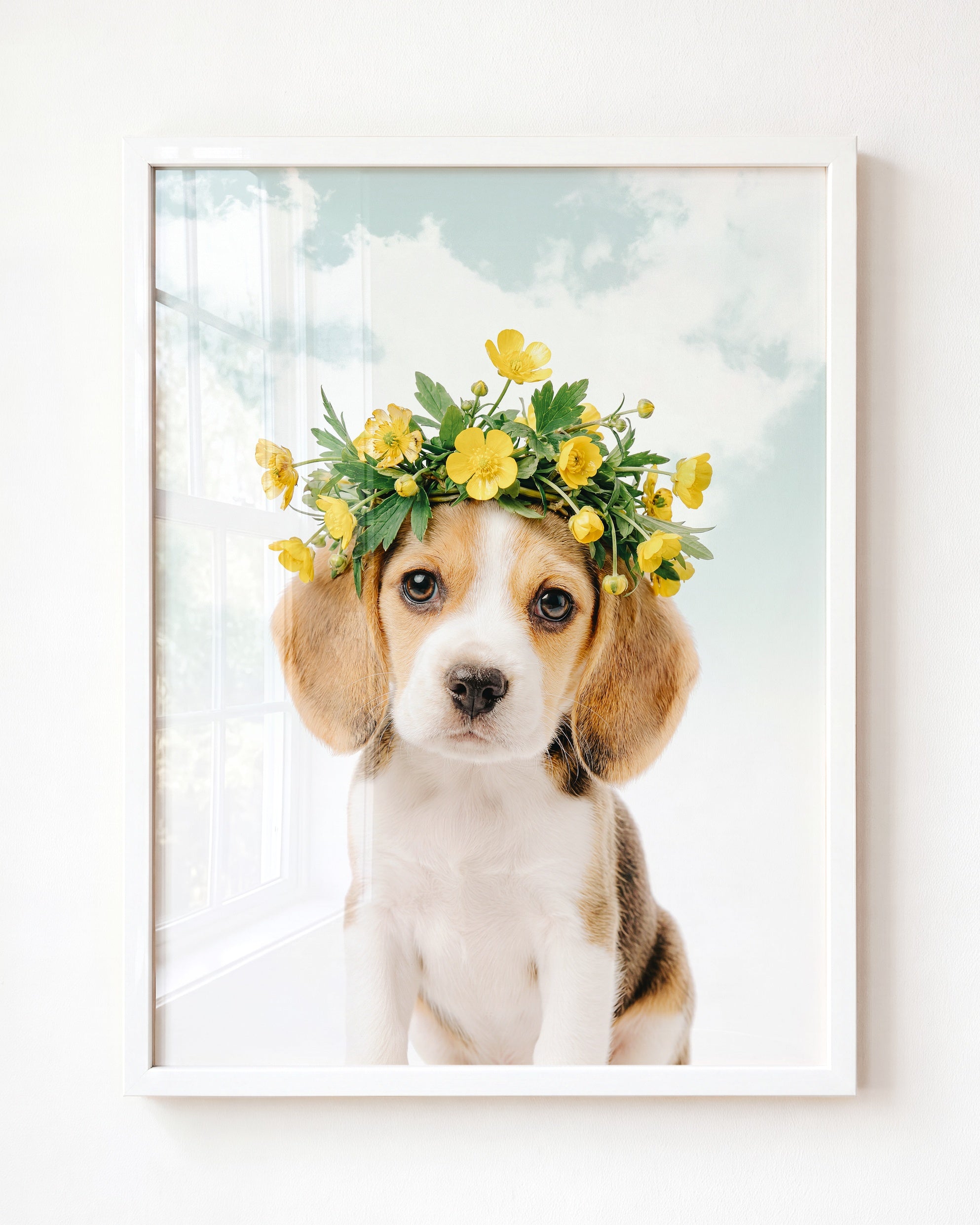 Baby Beagle Puppy