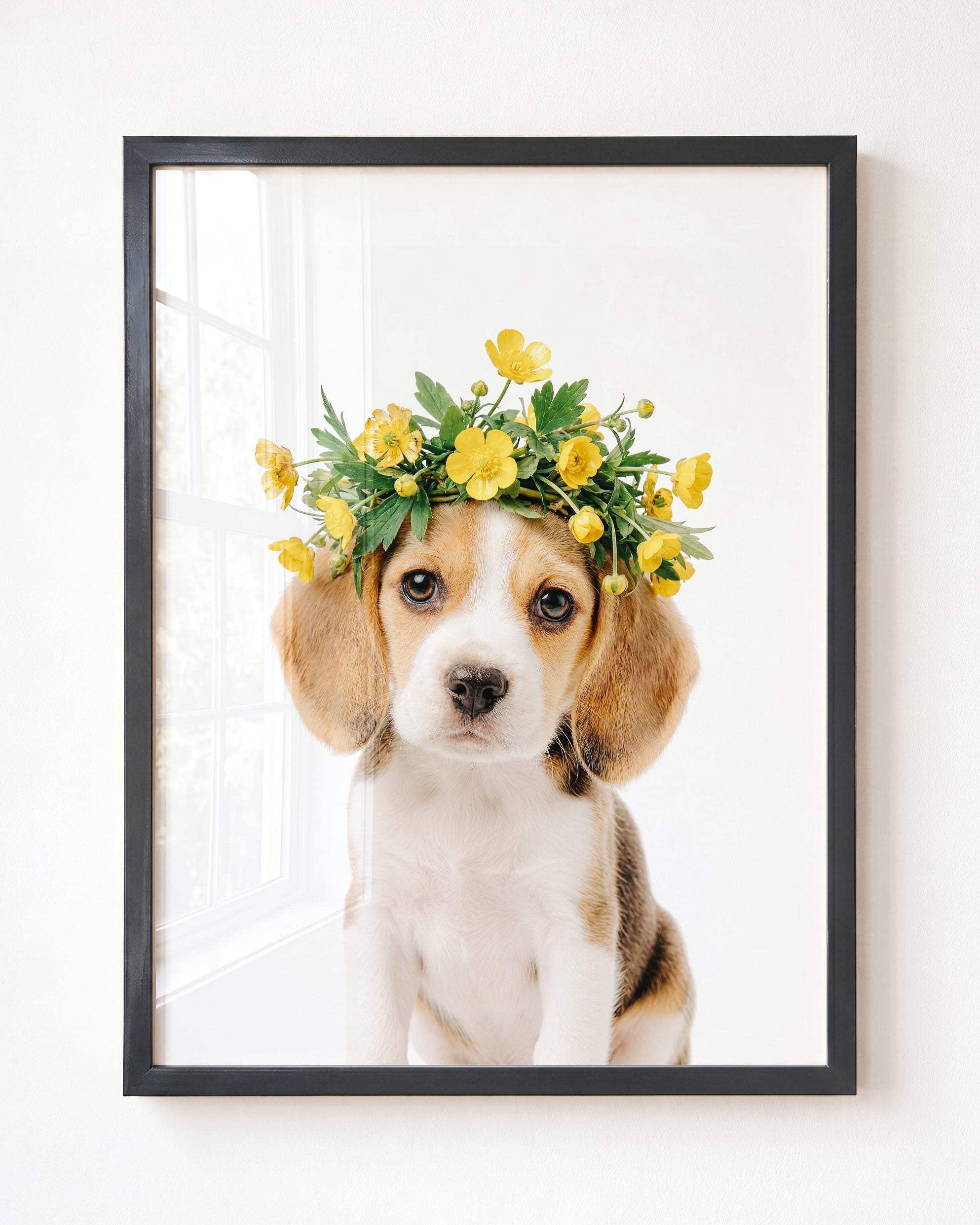 Baby Beagle Puppy