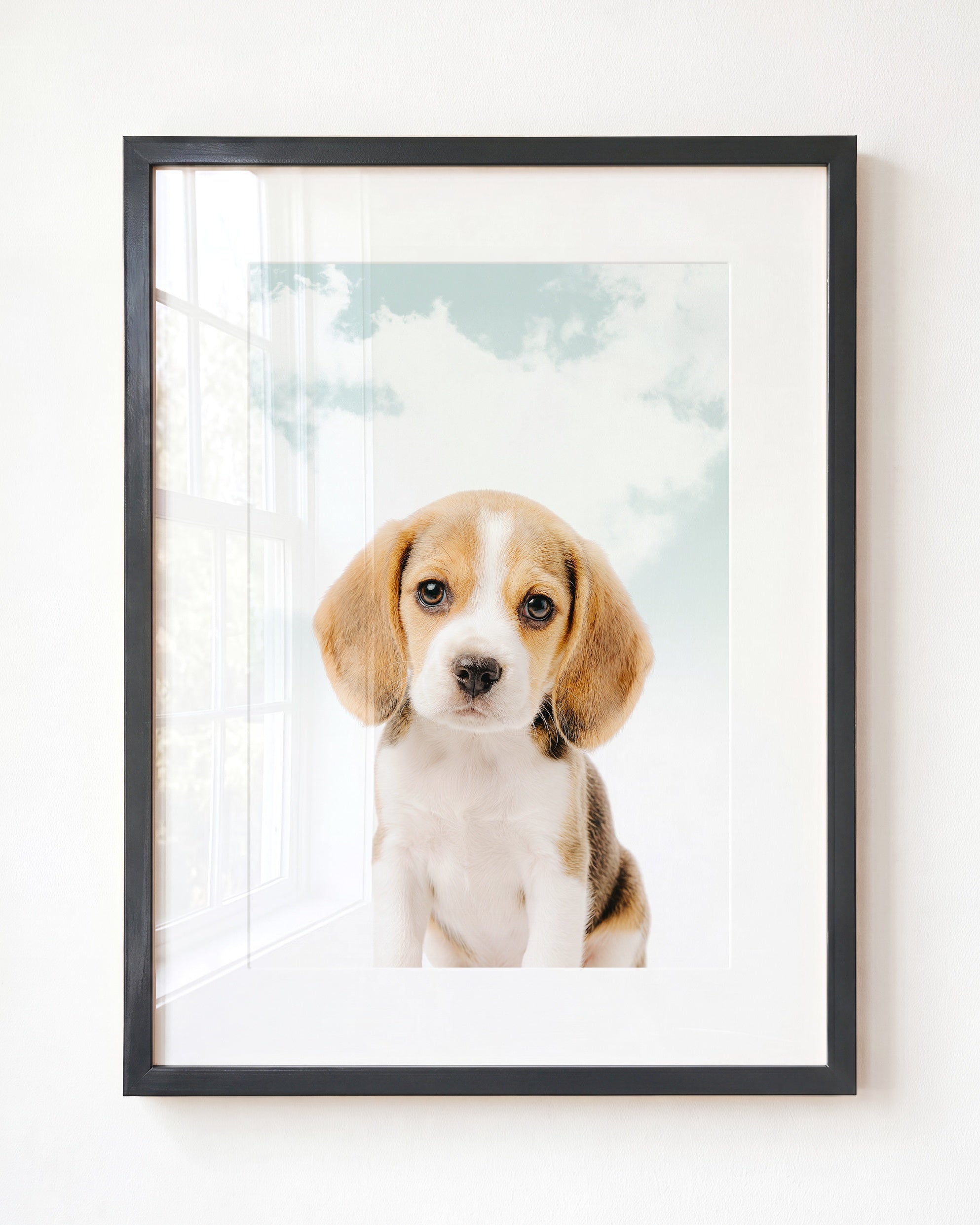 Baby Beagle Puppy