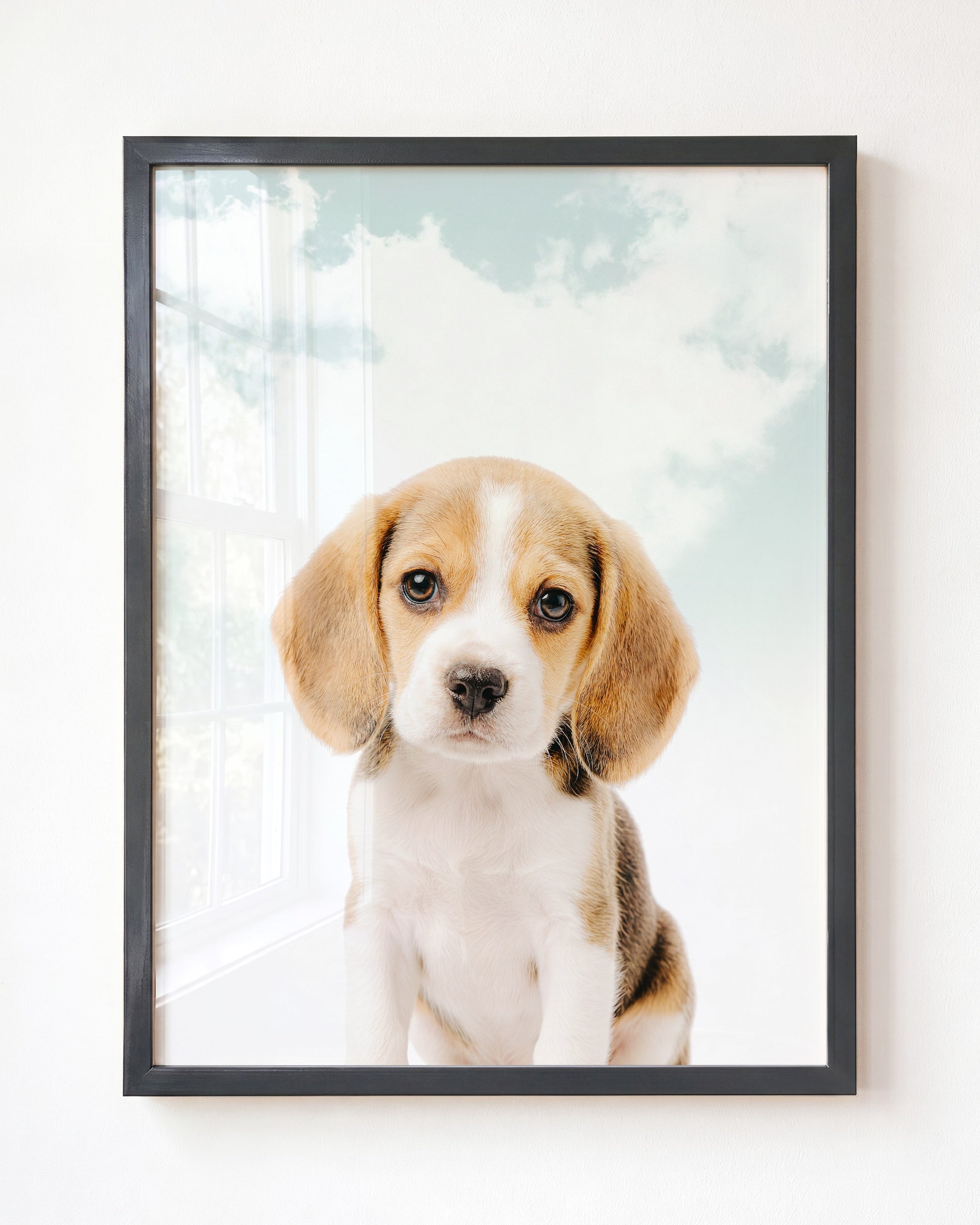 Baby Beagle Puppy