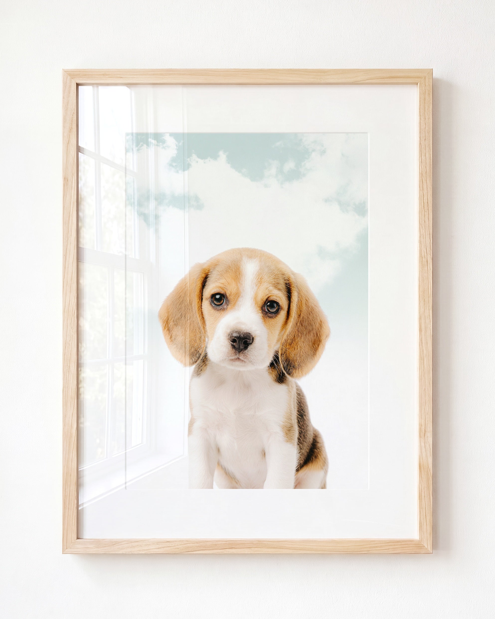 Baby Beagle Puppy