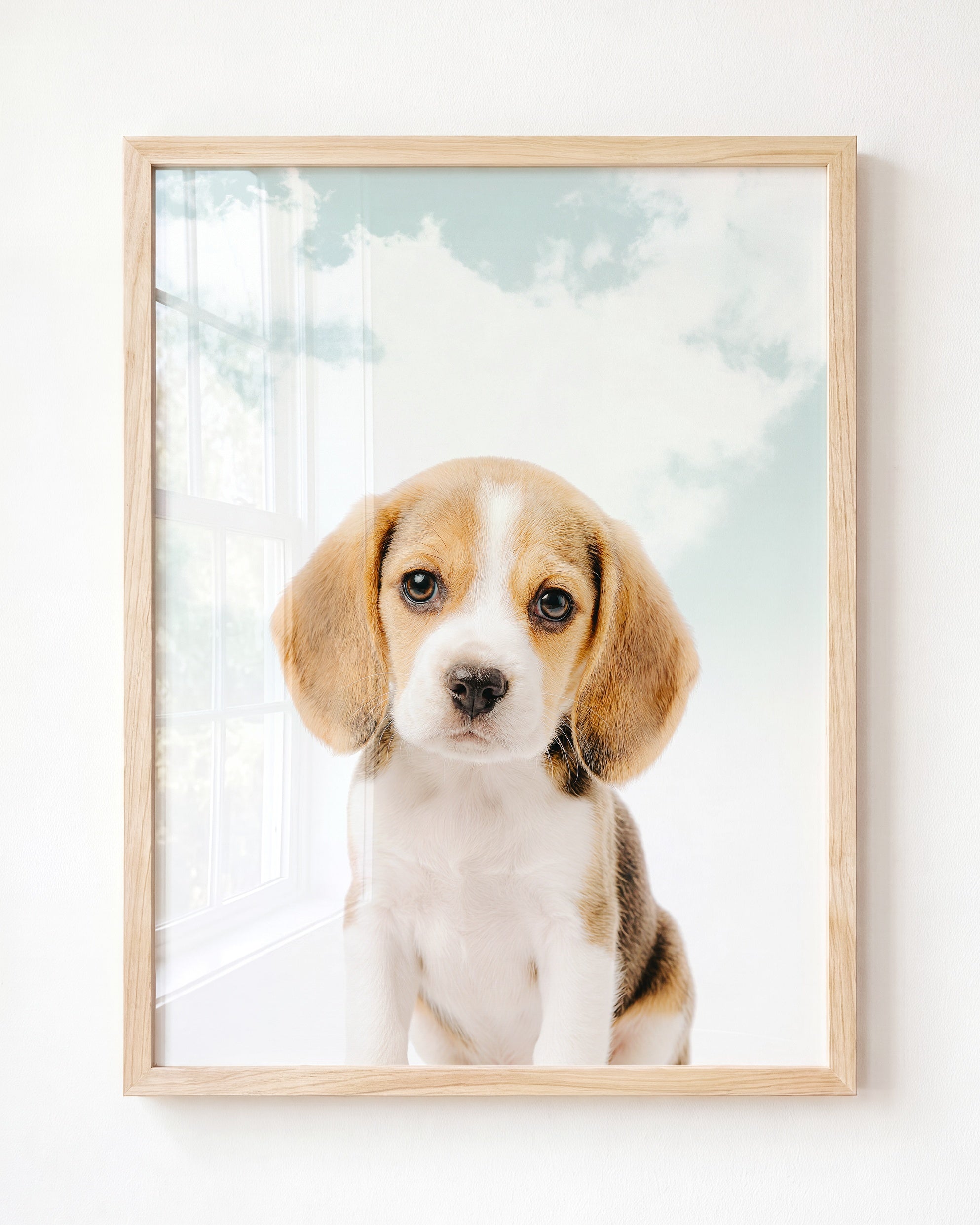 Baby Beagle Puppy