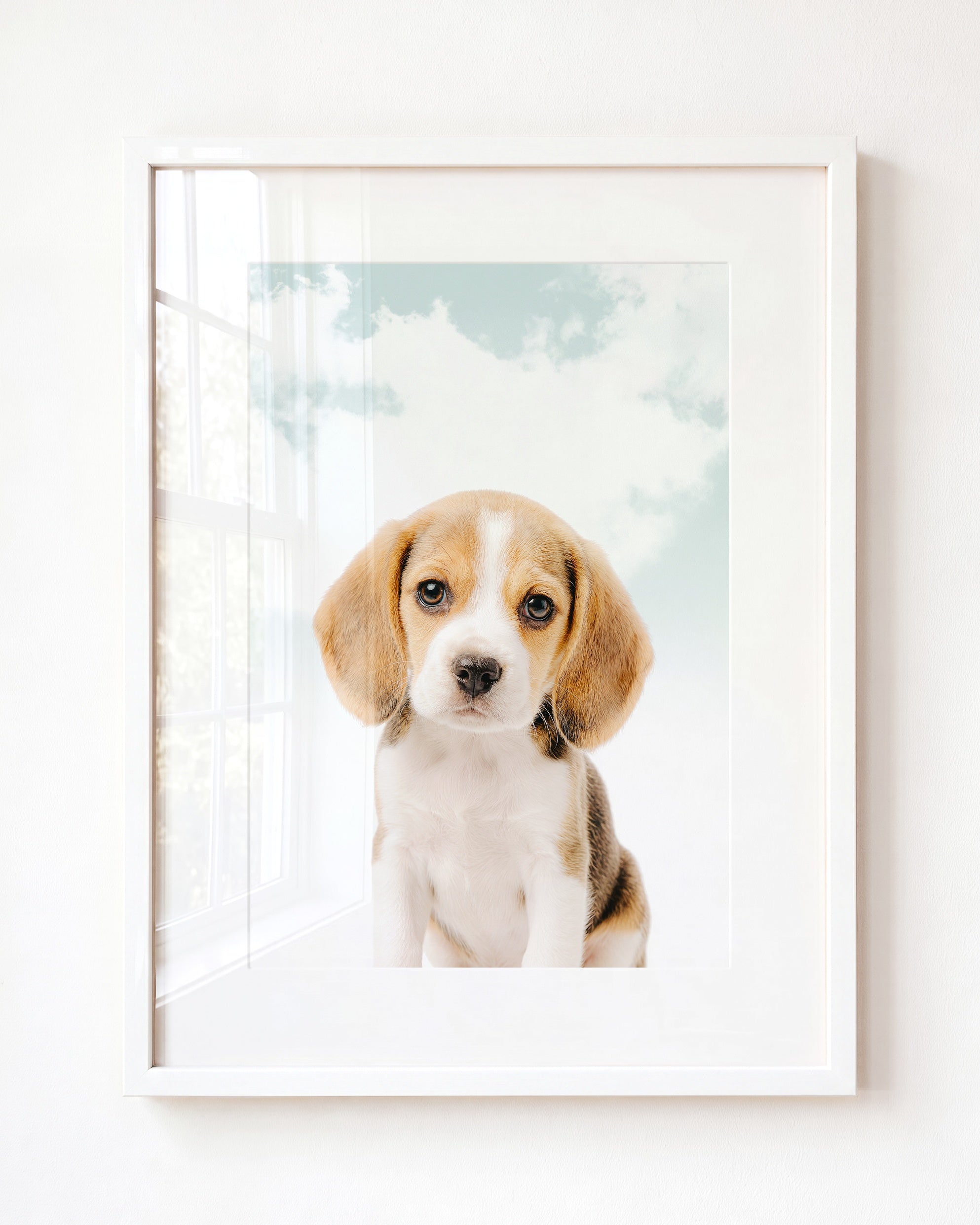 Baby Beagle Puppy