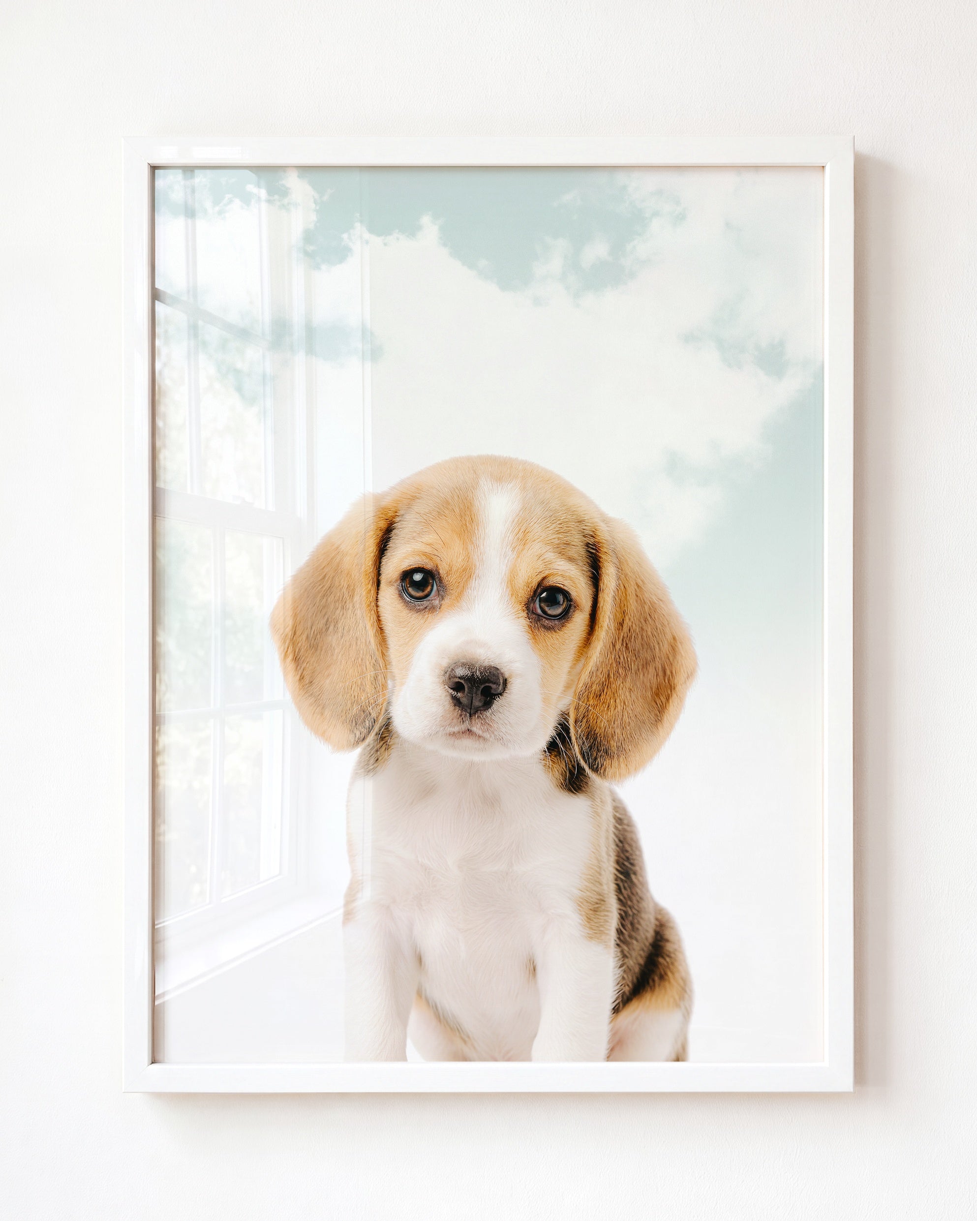 Baby Beagle Puppy
