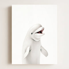 Baby Beluga Whale