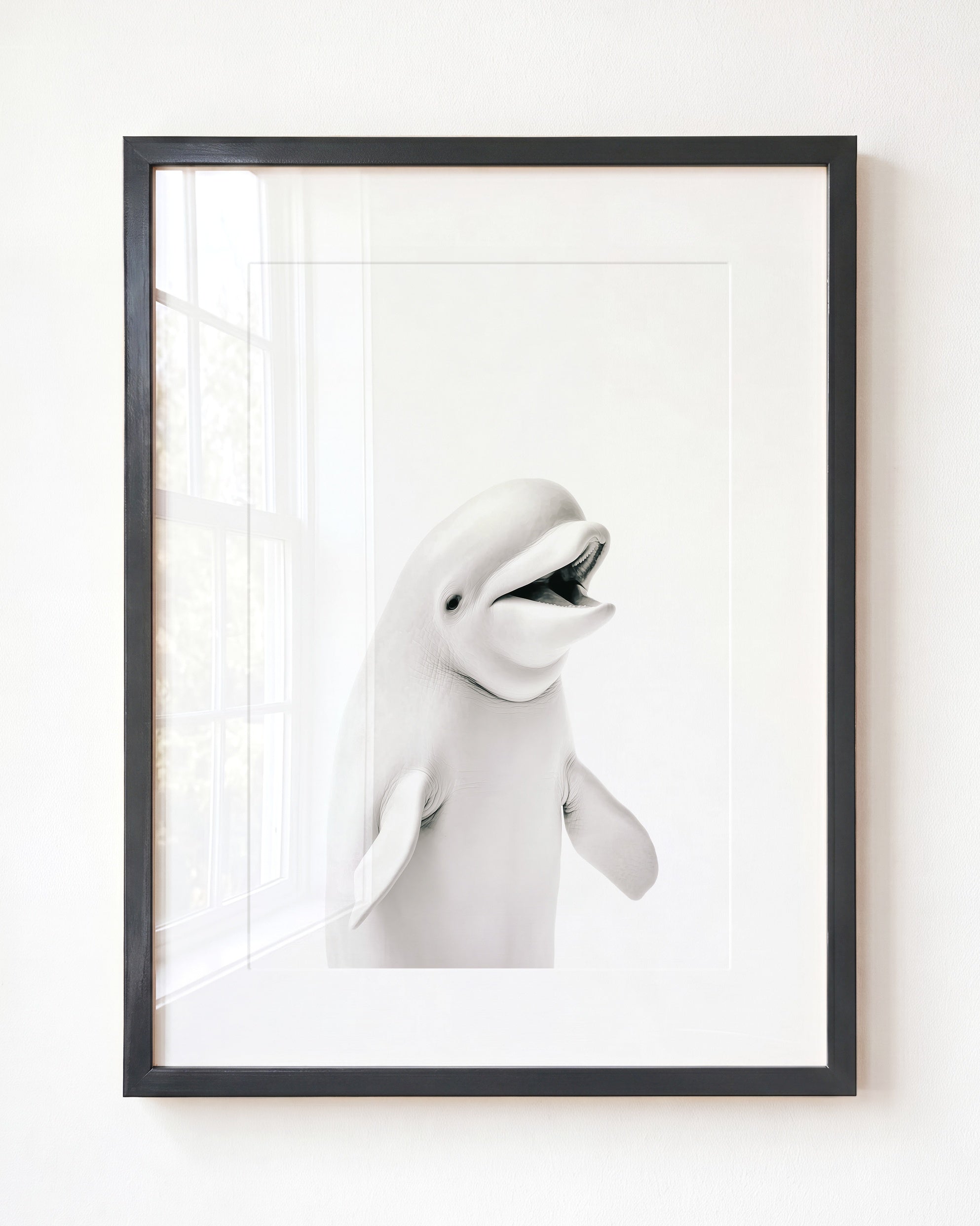 Baby Beluga Whale