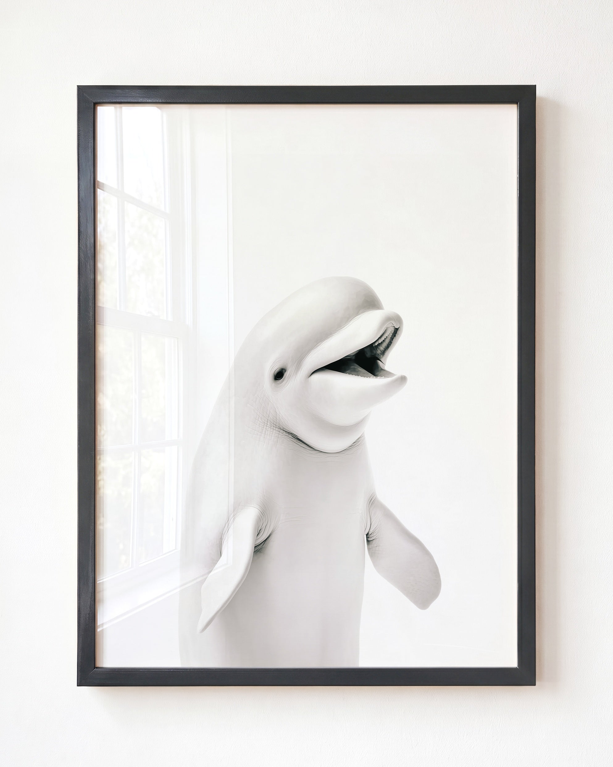 Baby Beluga Whale