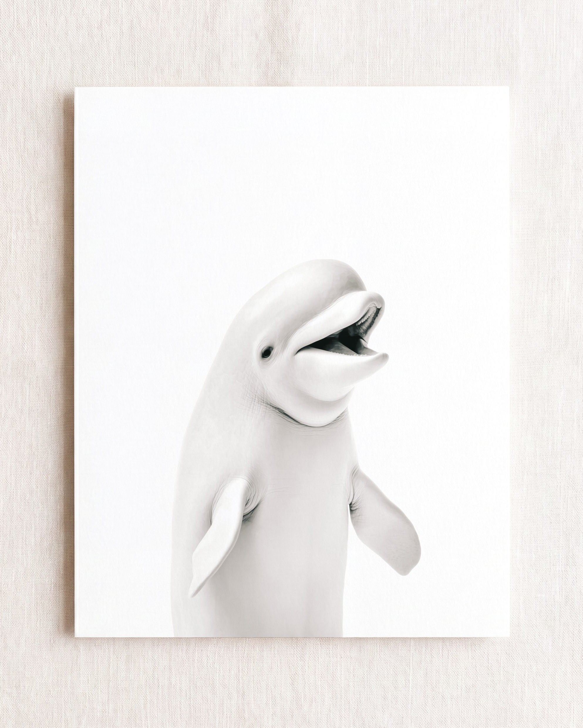 Baby Beluga Whale