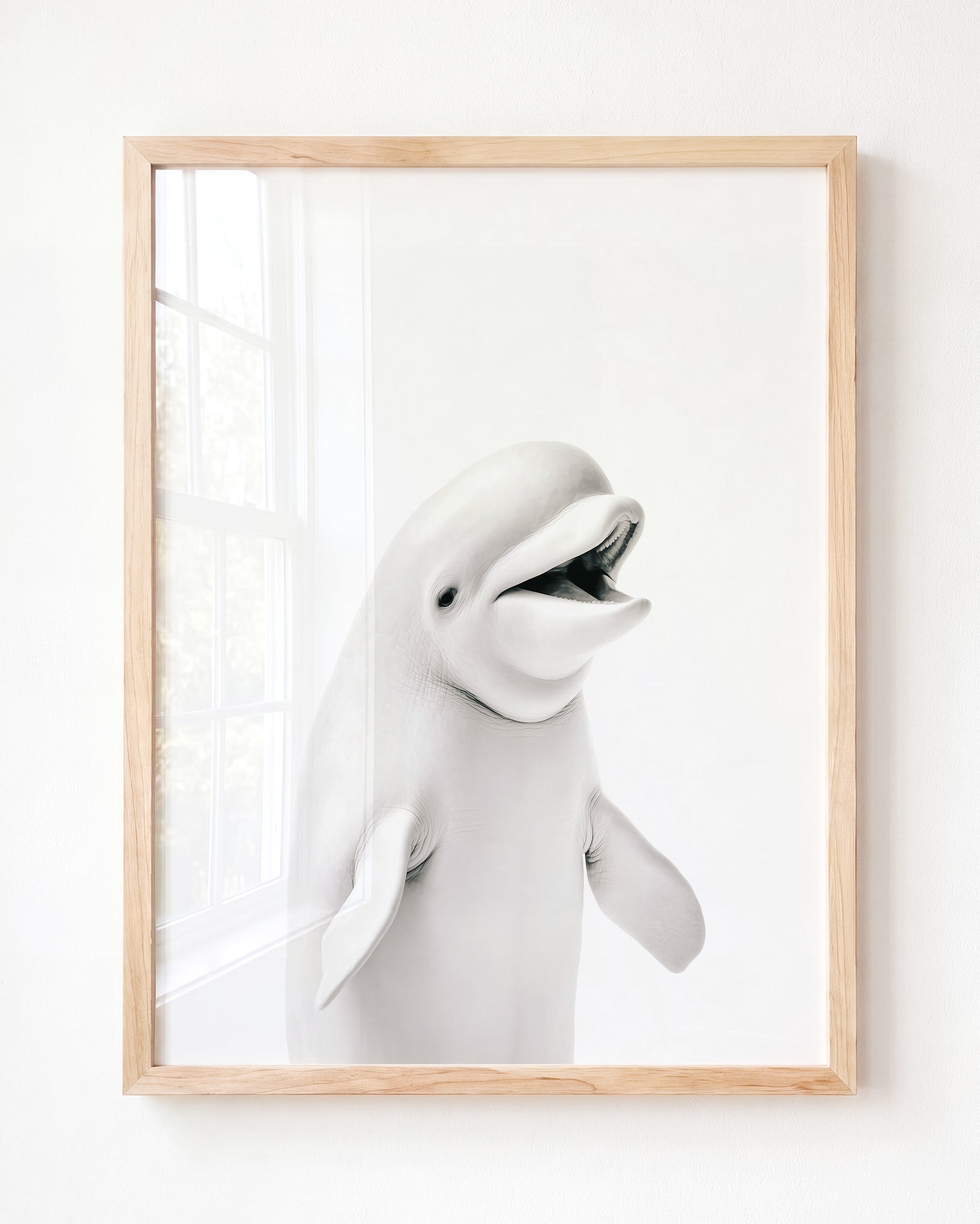Baby Beluga Whale