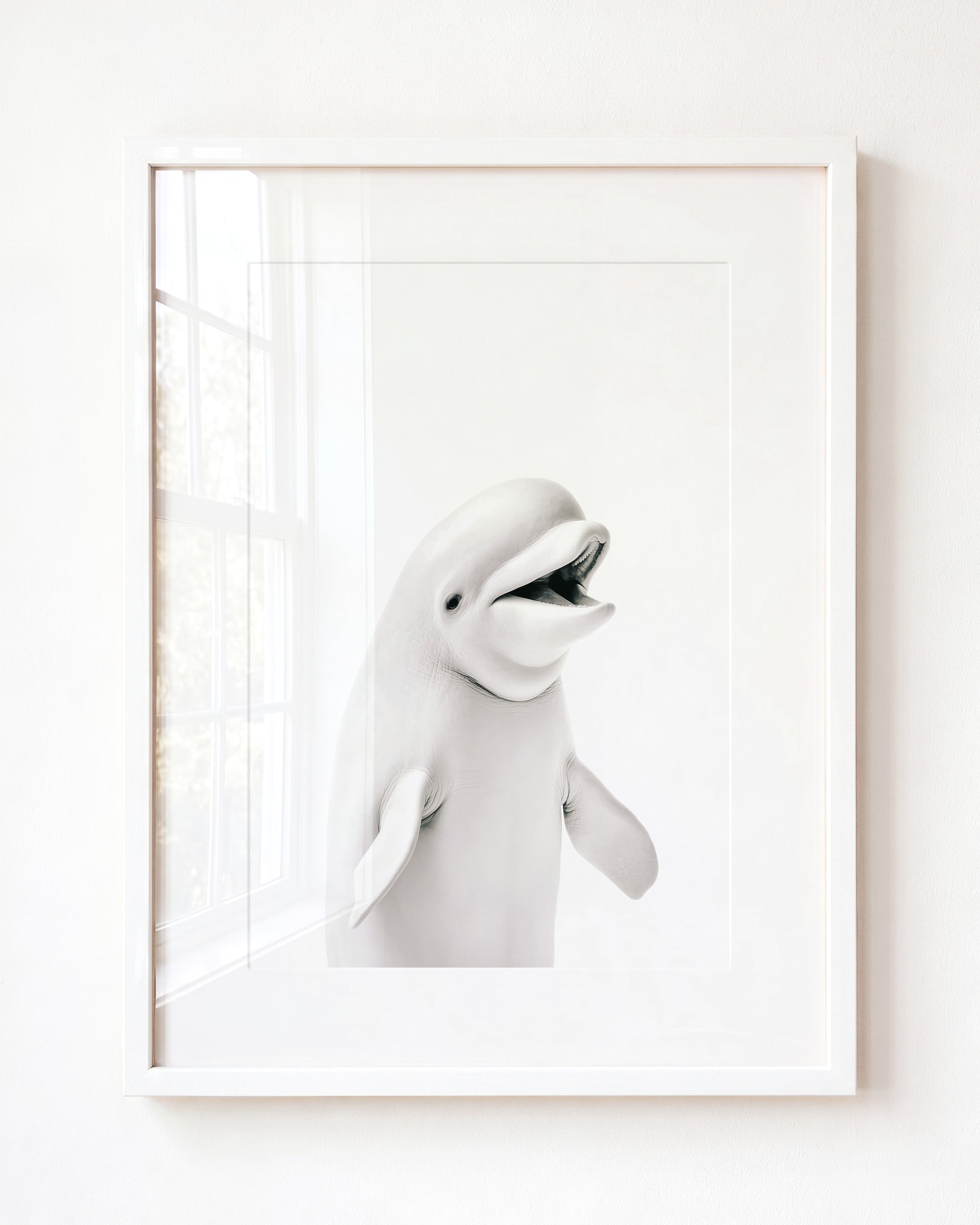 Baby Beluga Whale