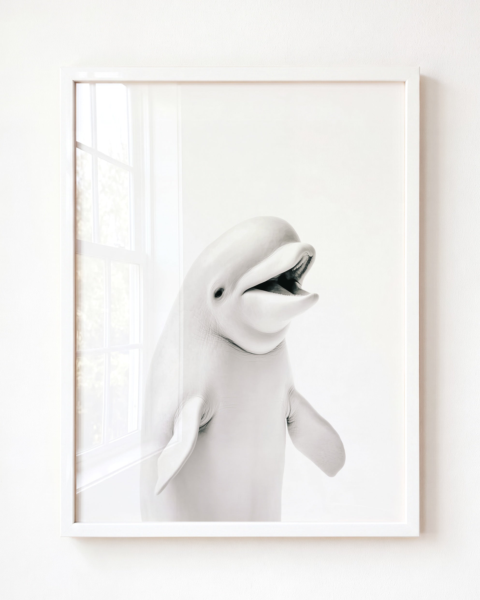 Baby Beluga Whale