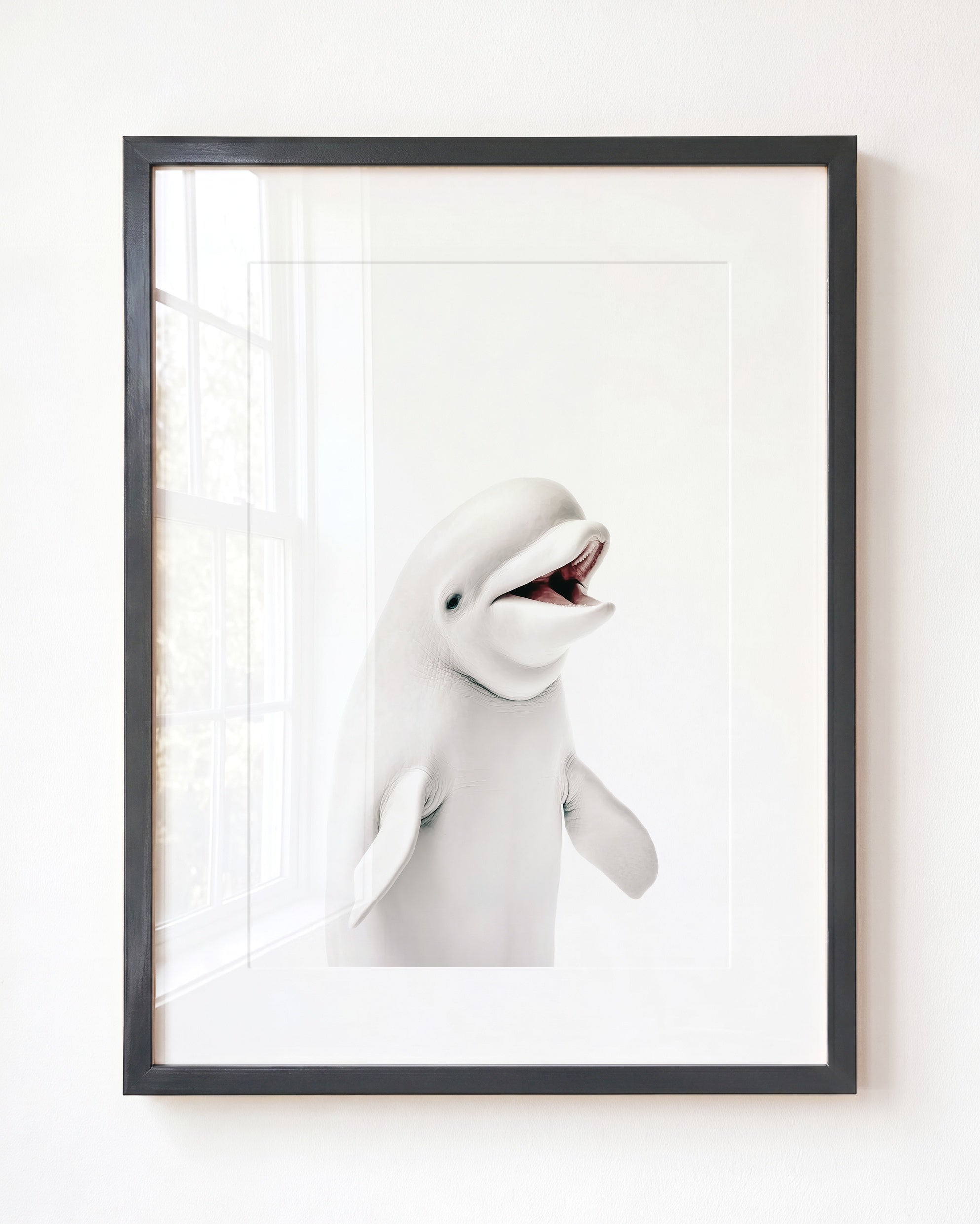 Baby Beluga Whale