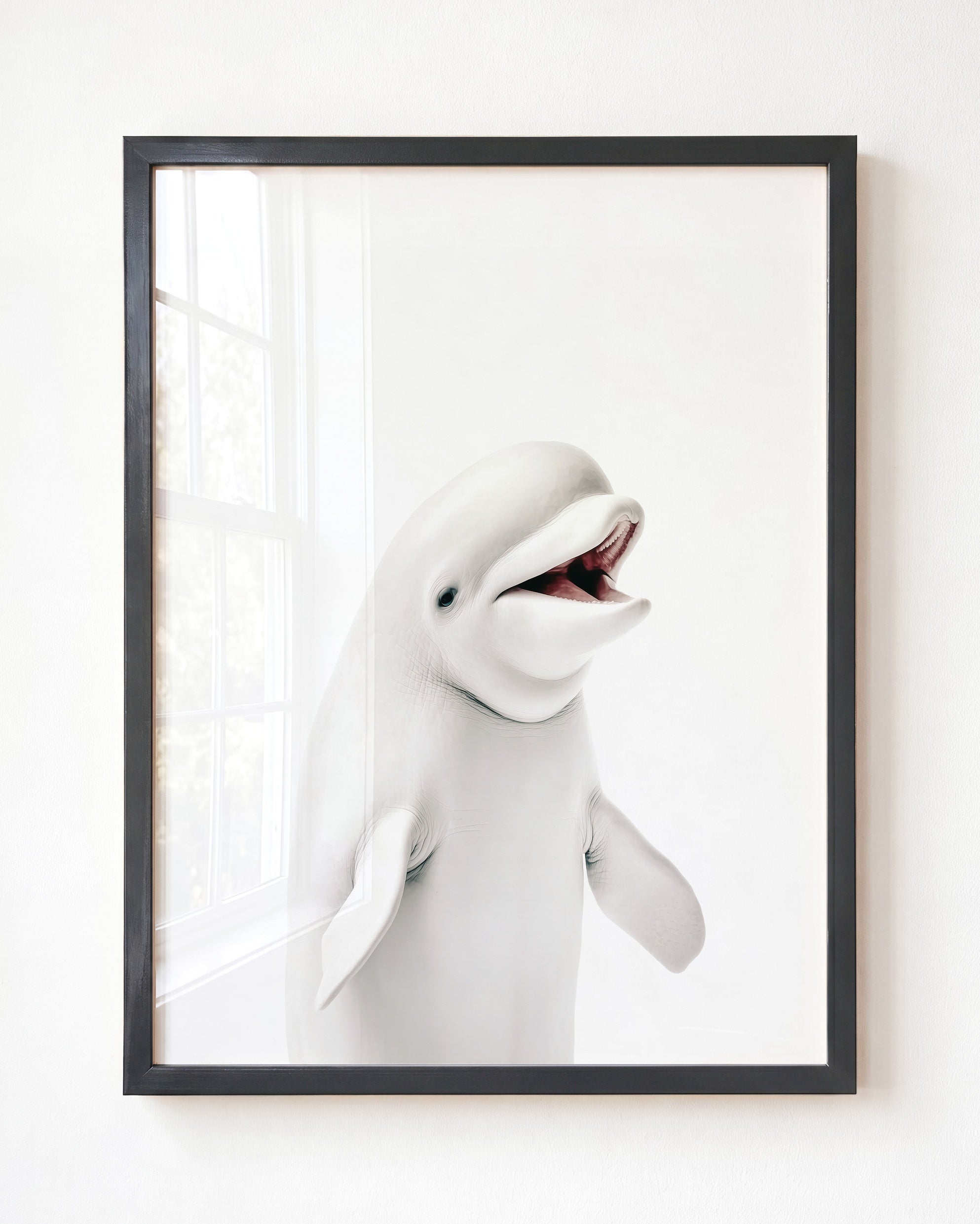Baby Beluga Whale