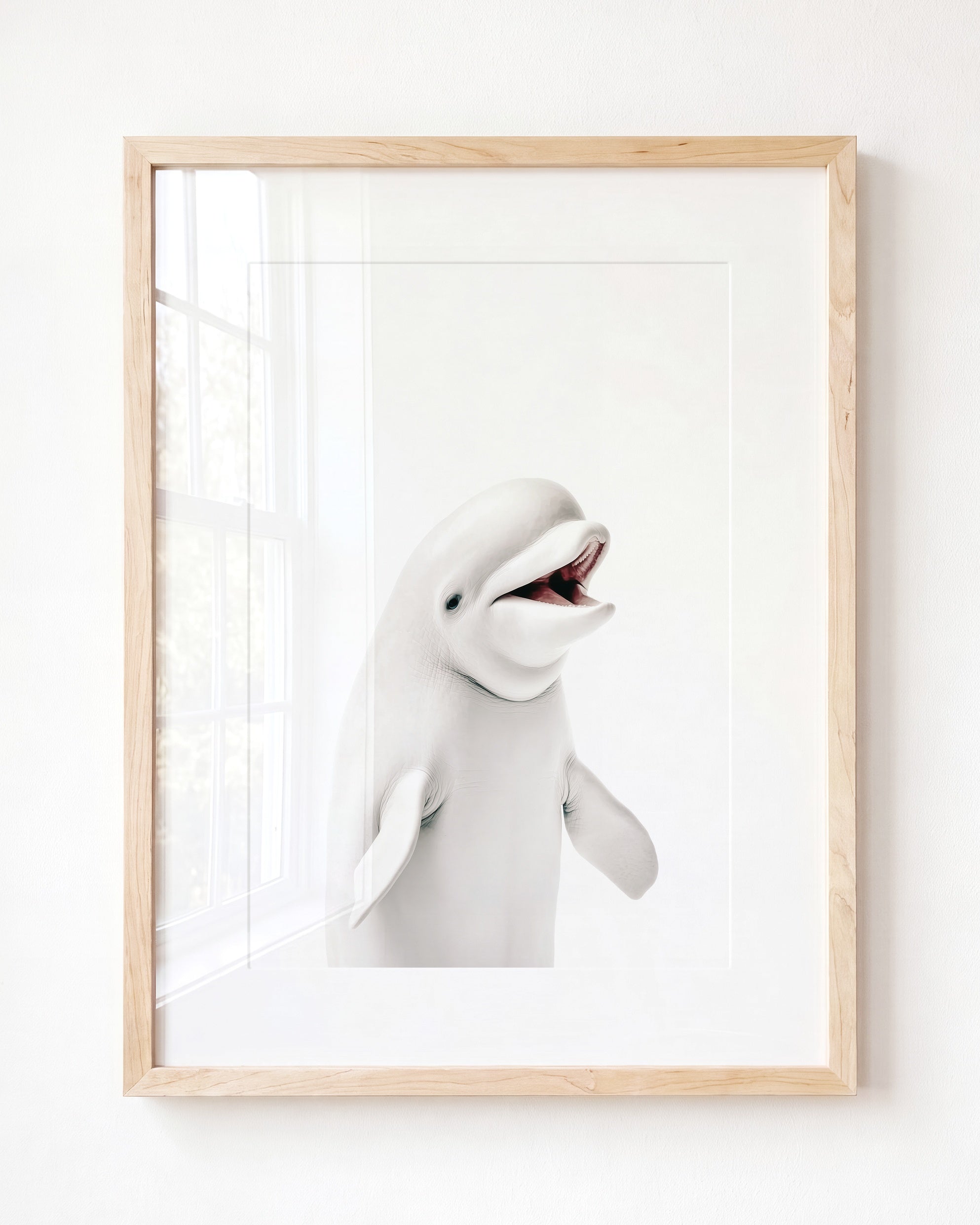 Baby Beluga Whale