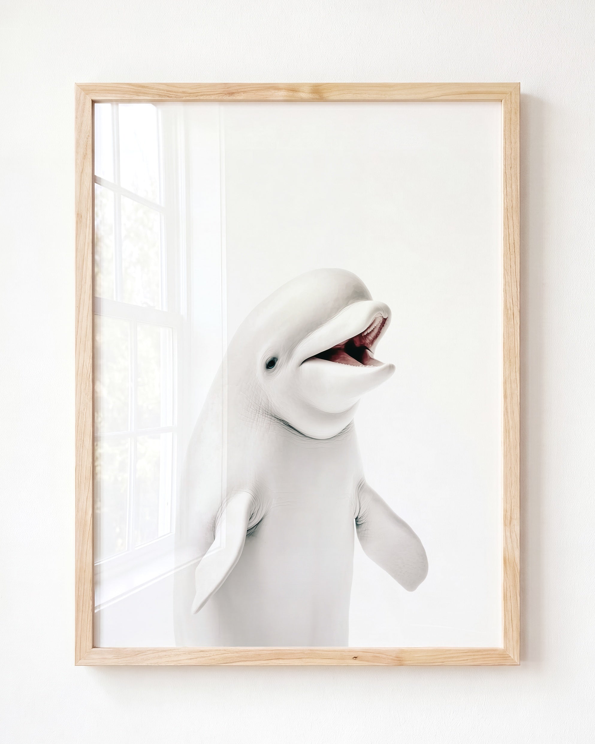 Baby Beluga Whale