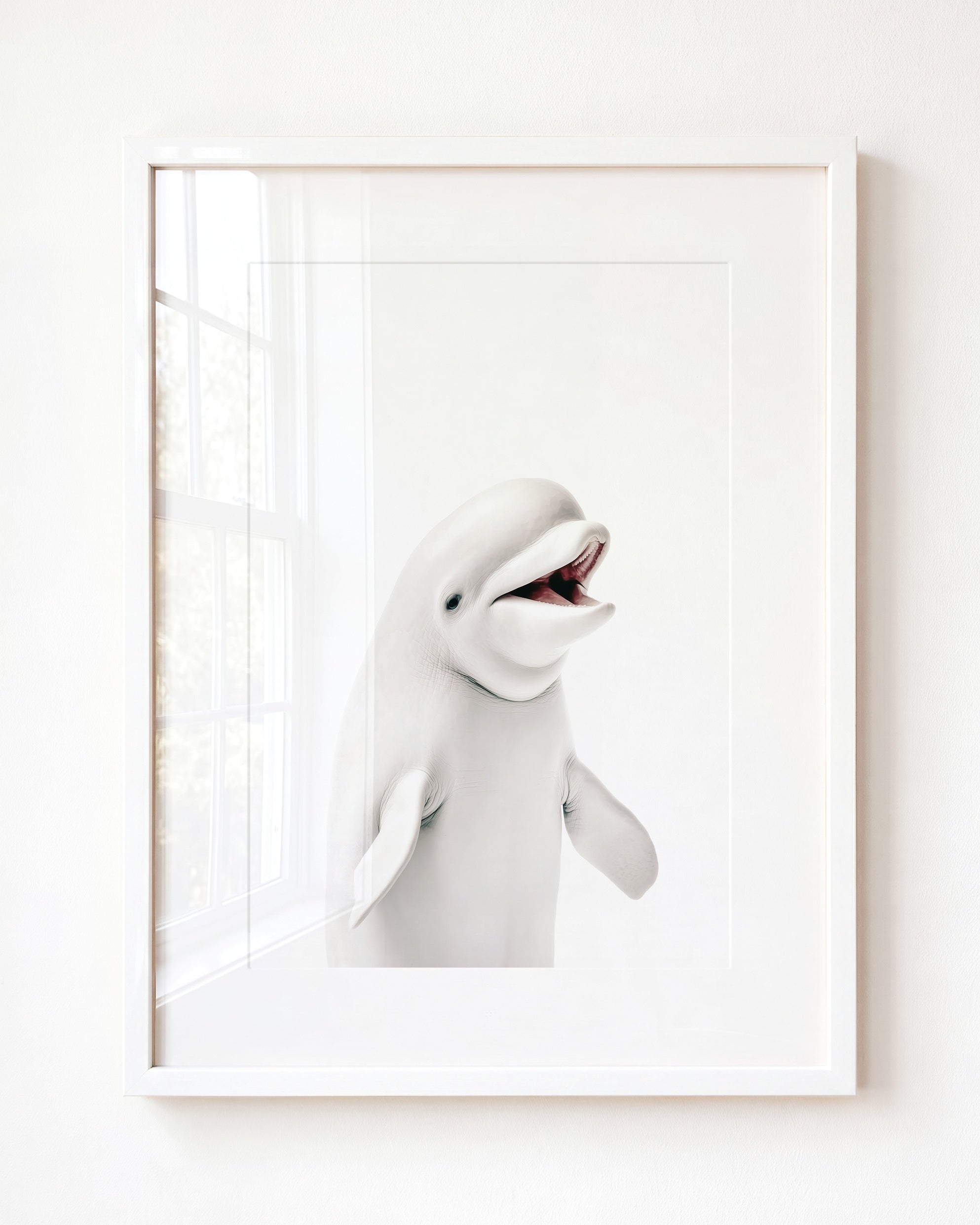 Baby Beluga Whale