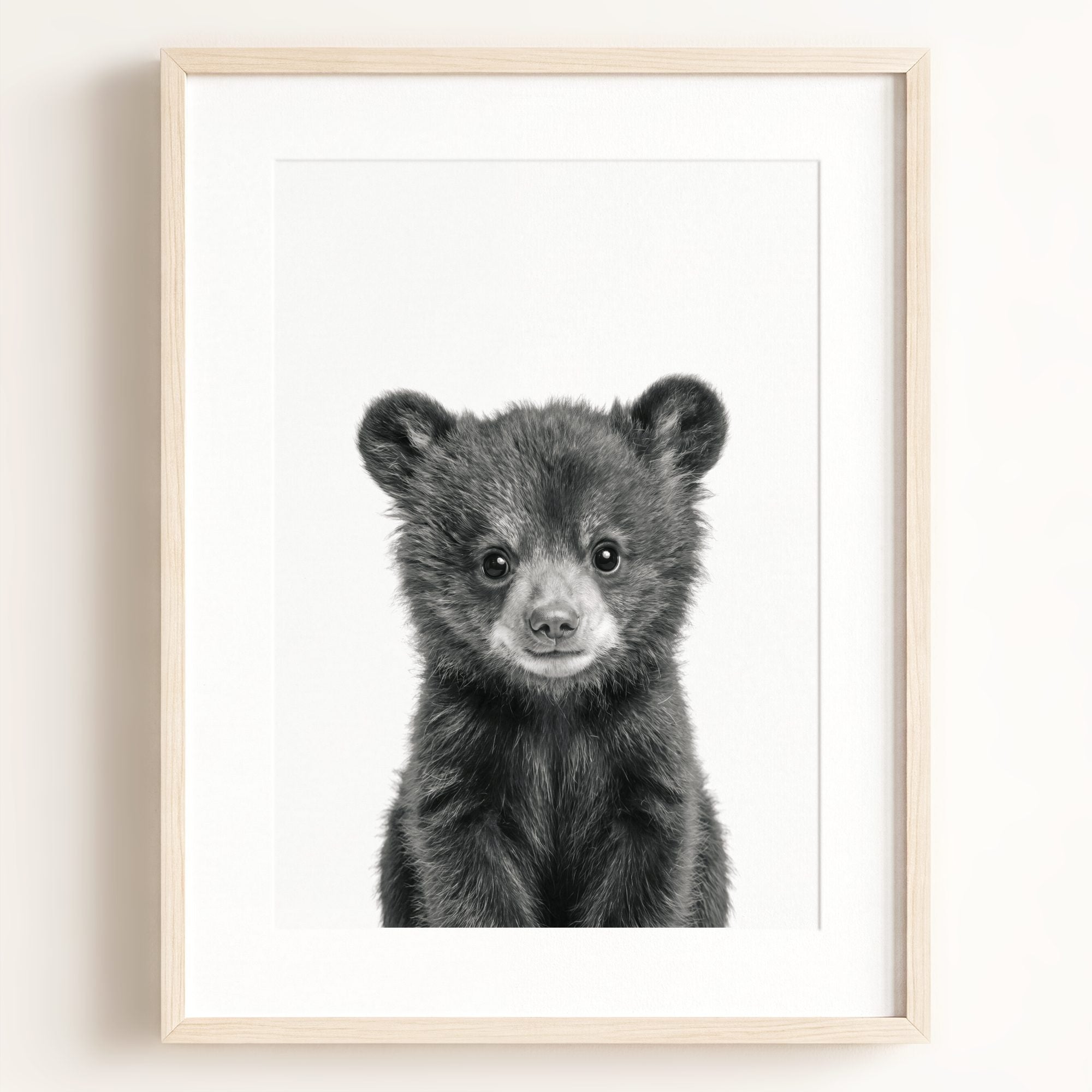Baby Black Bear