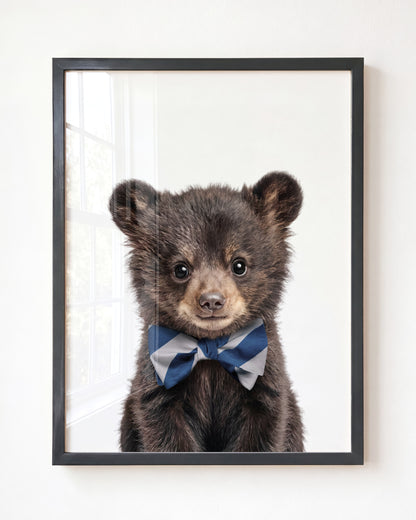 Baby Black Bear