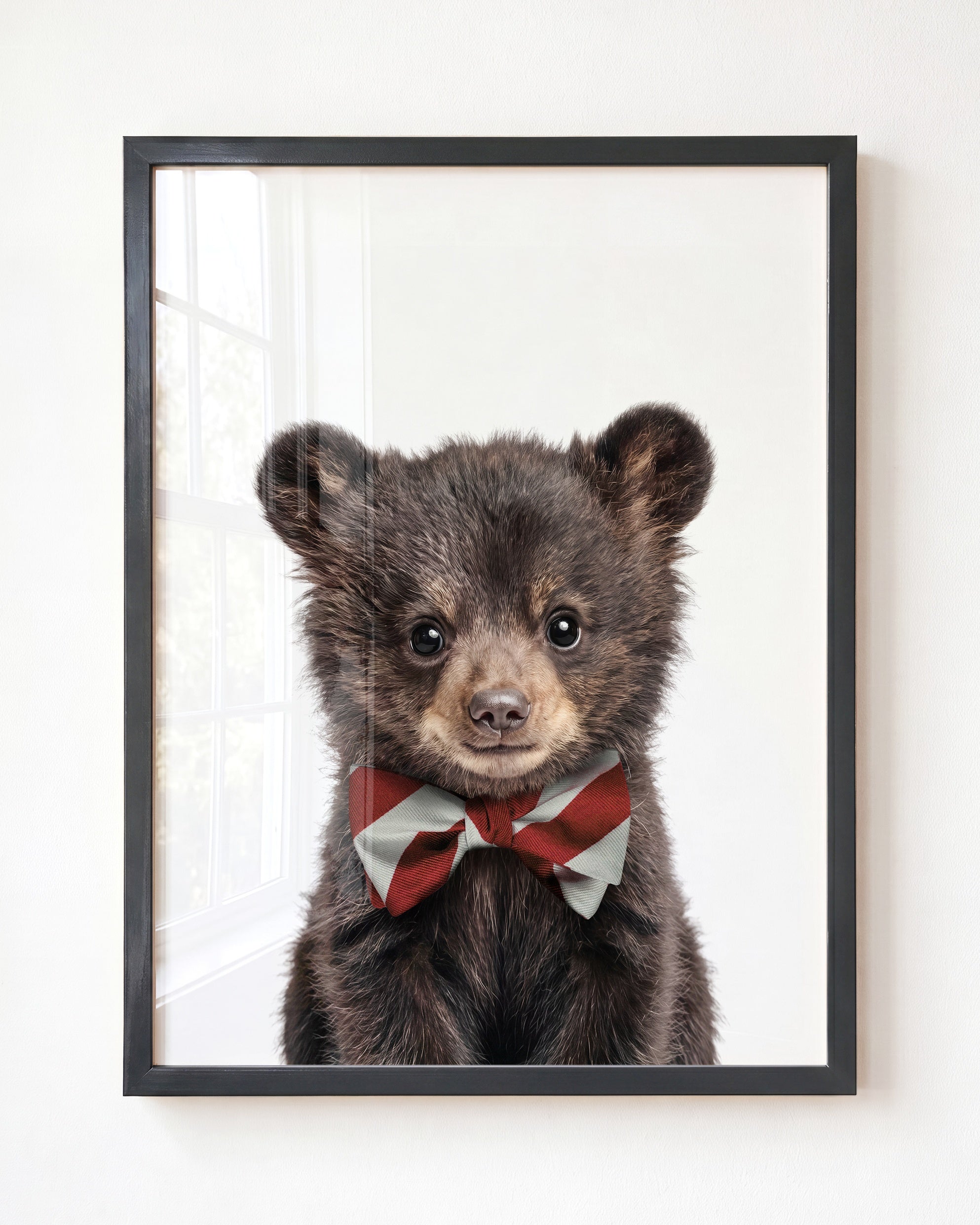 Baby Black Bear
