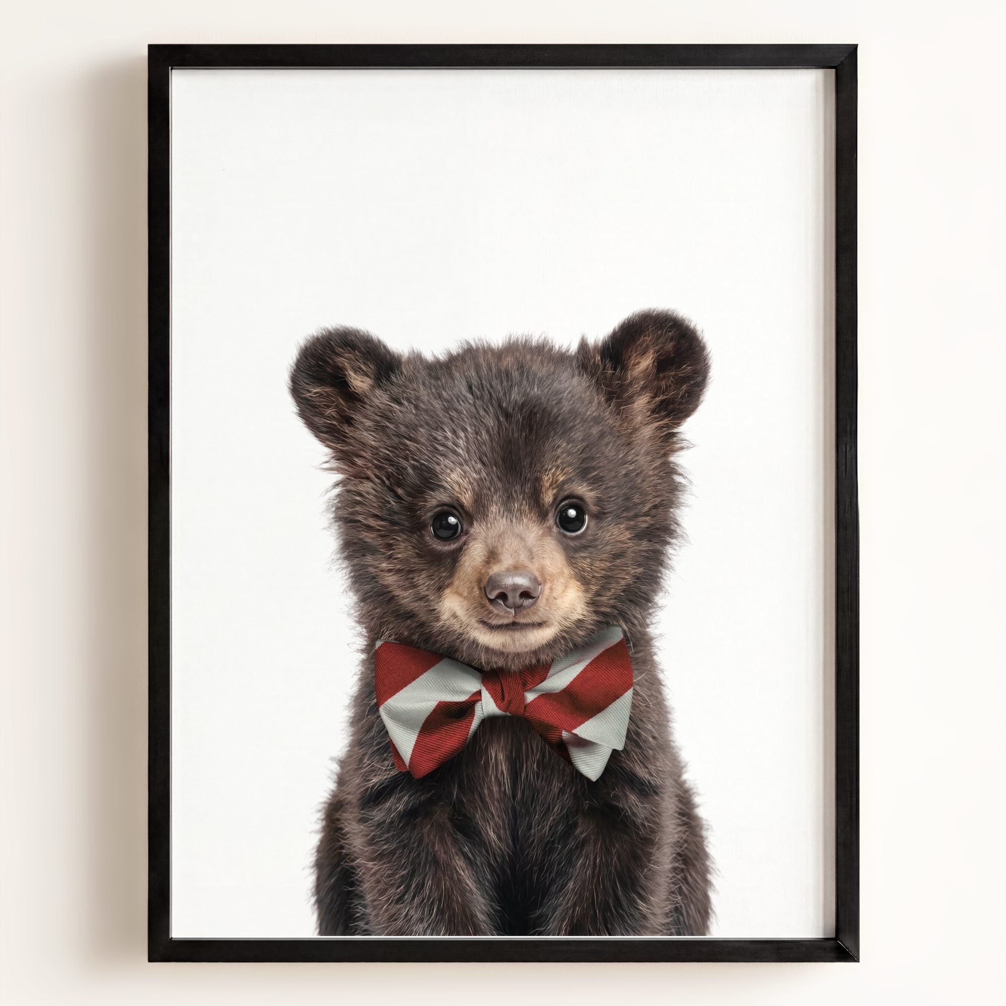 Baby Black Bear