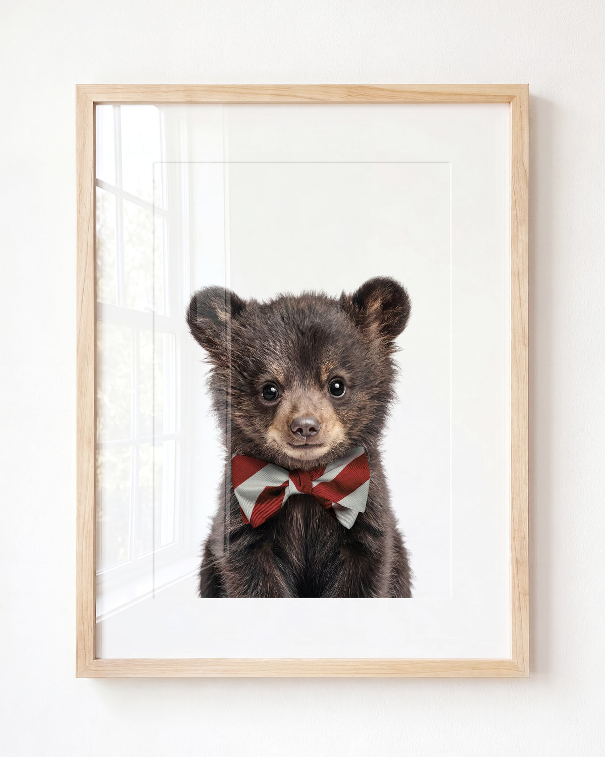 Baby Black Bear