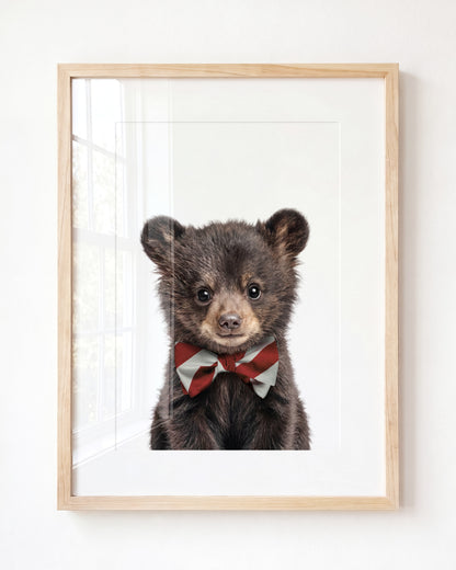 Baby Black Bear