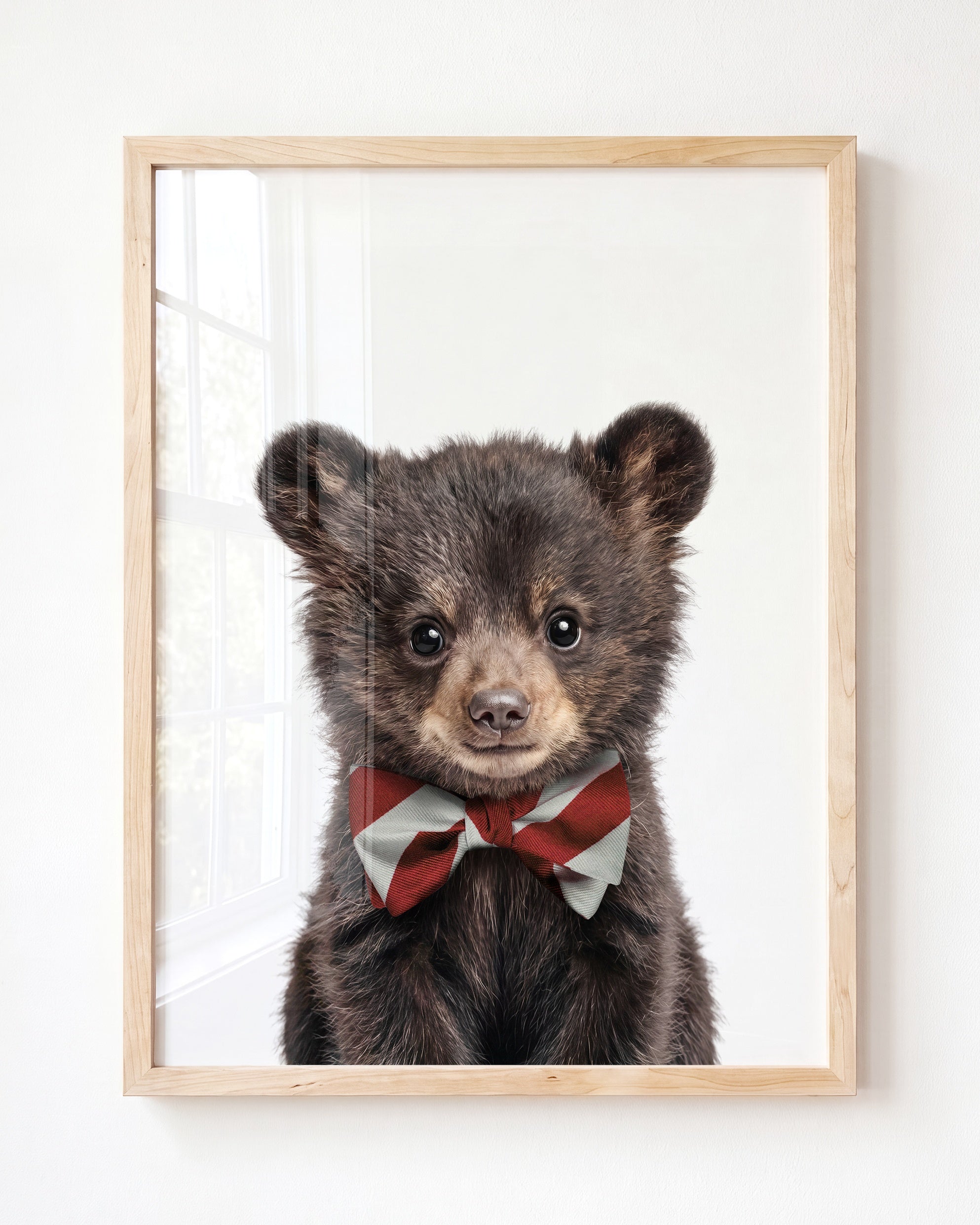 Baby Black Bear
