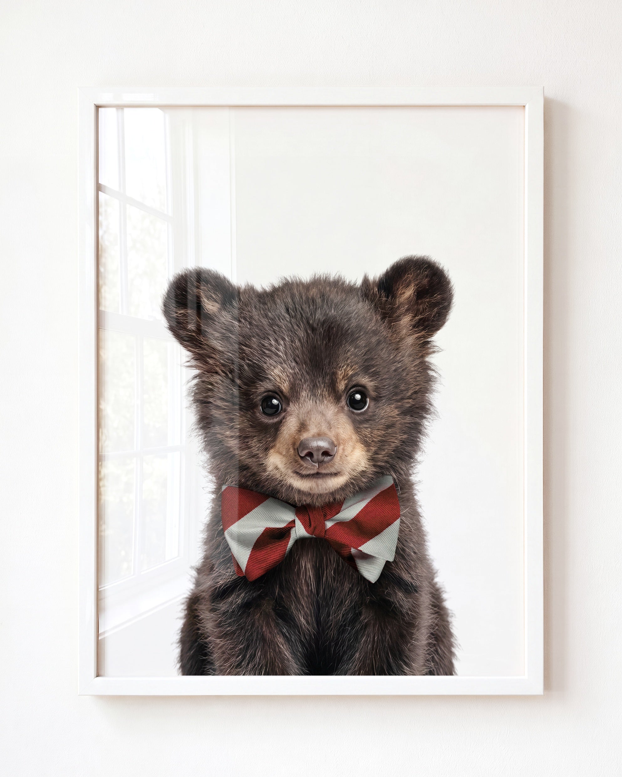 Baby Black Bear