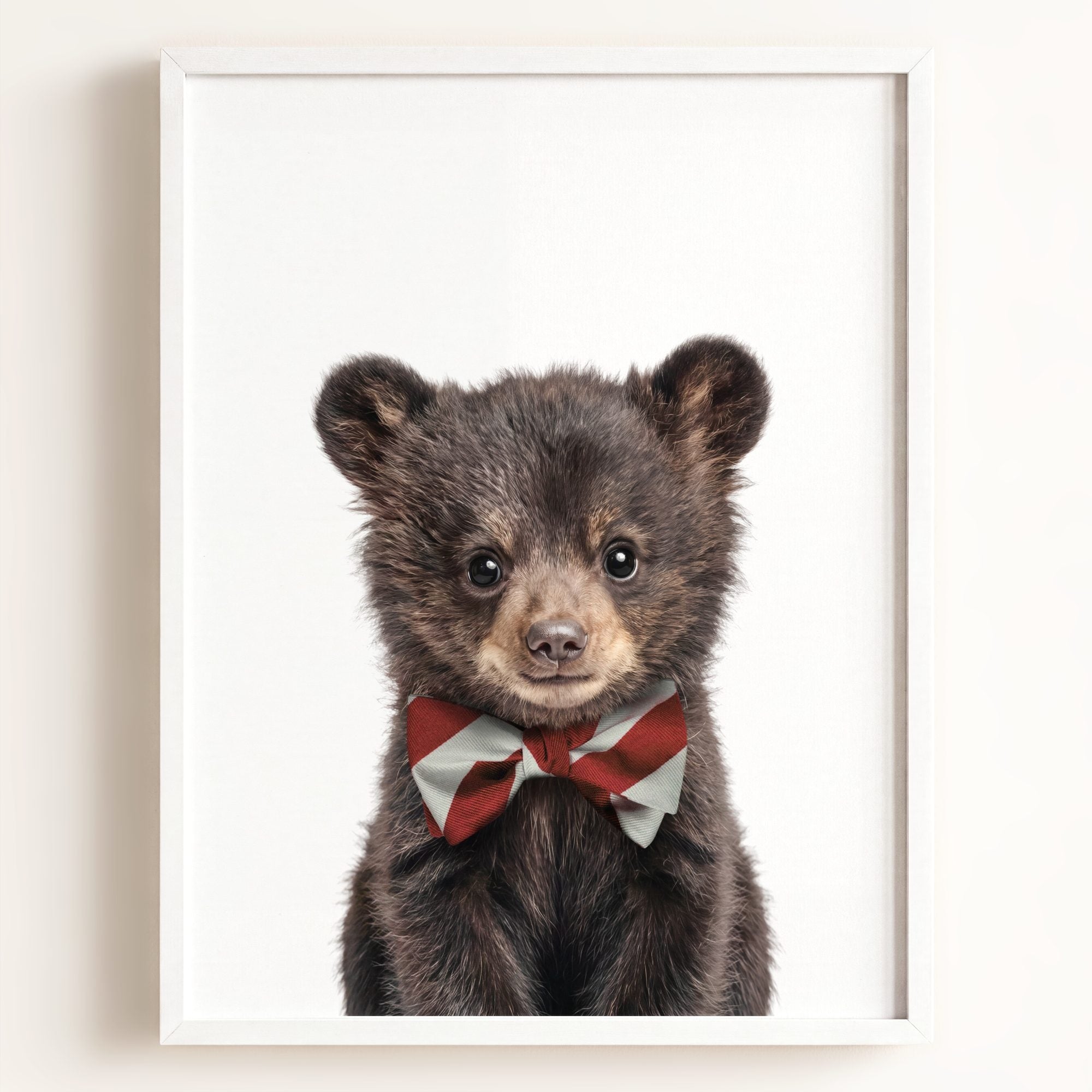 Baby Black Bear