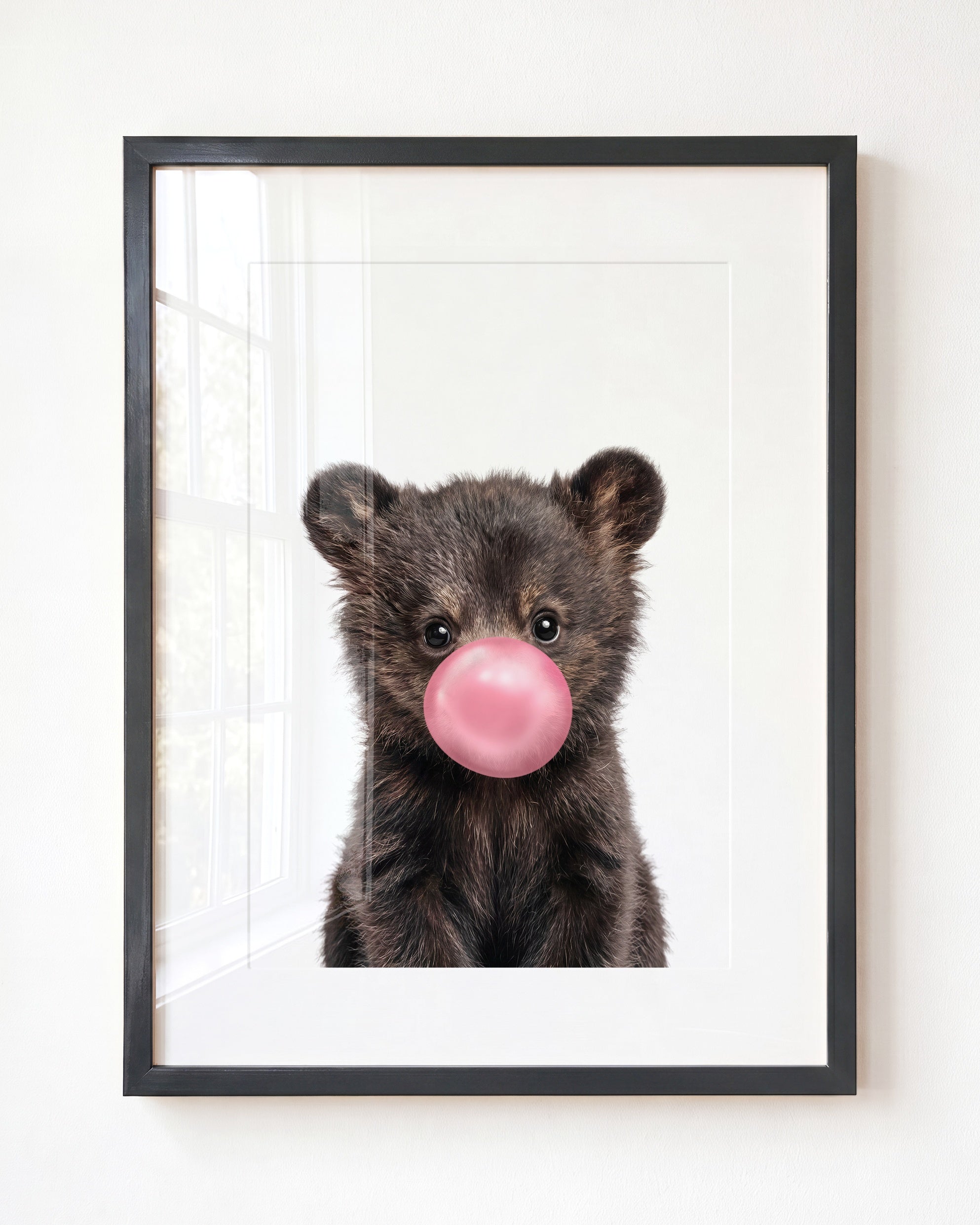 Baby Black Bear