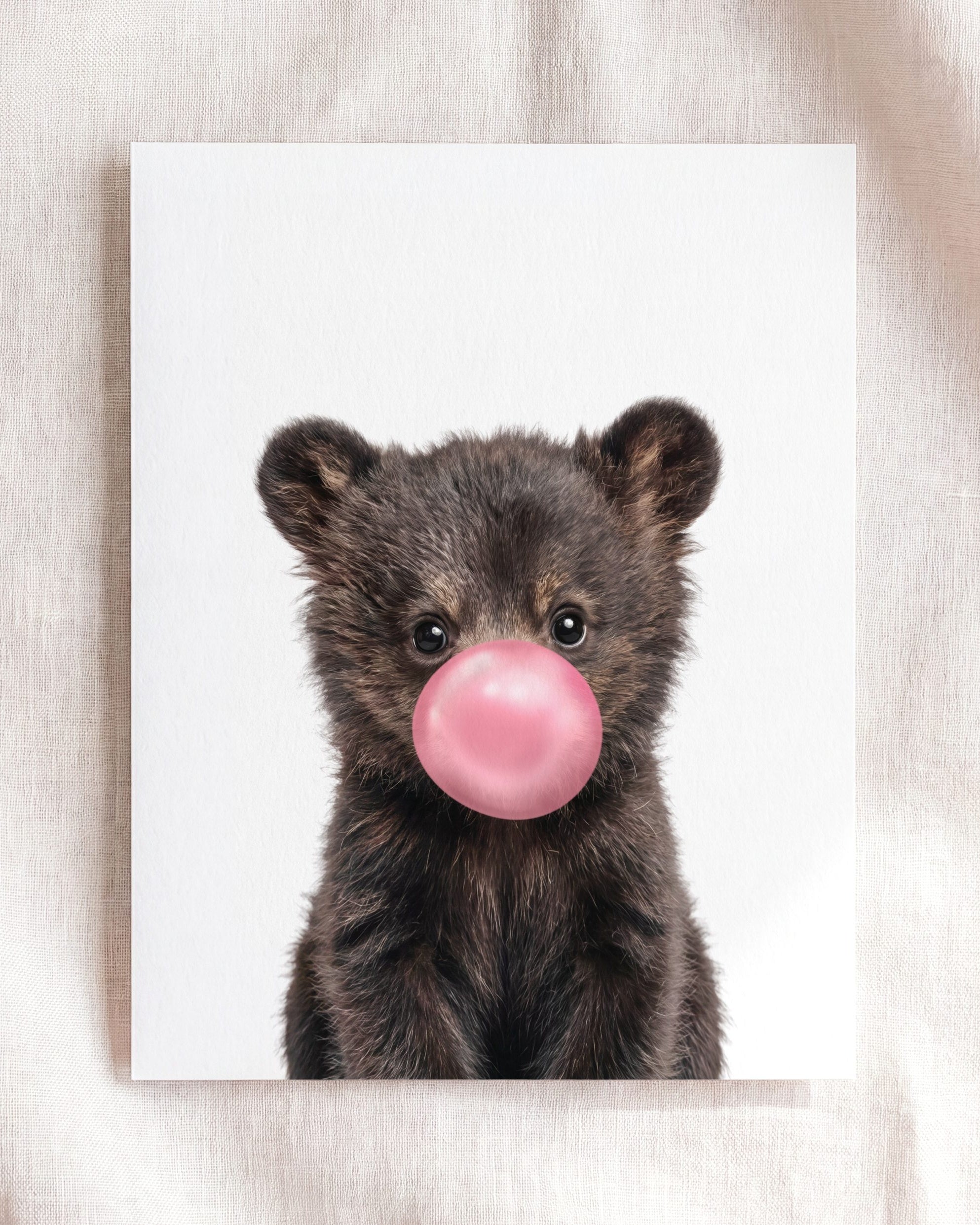 Baby Black Bear